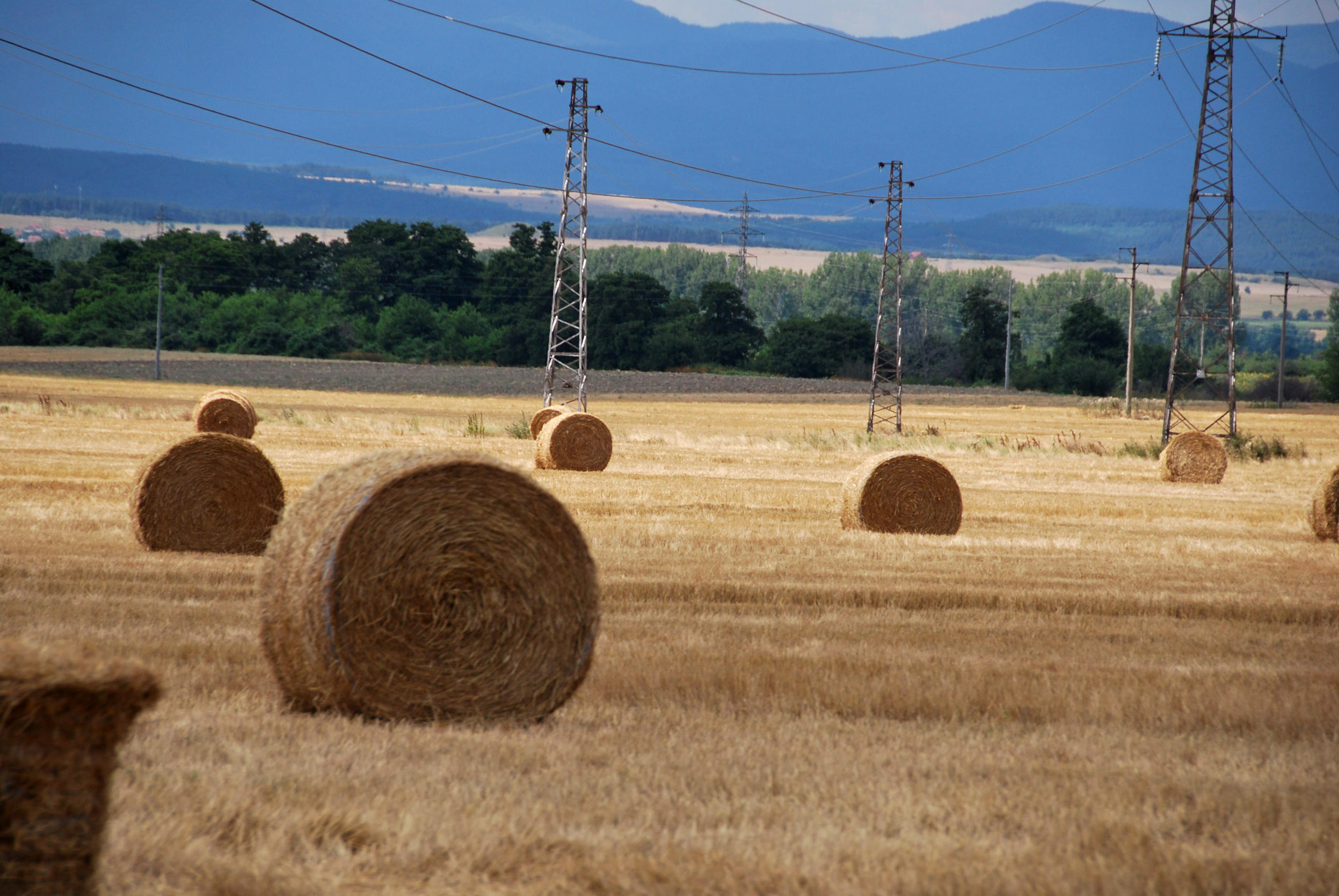 Nikon D60 sample photo. Bales on field photography