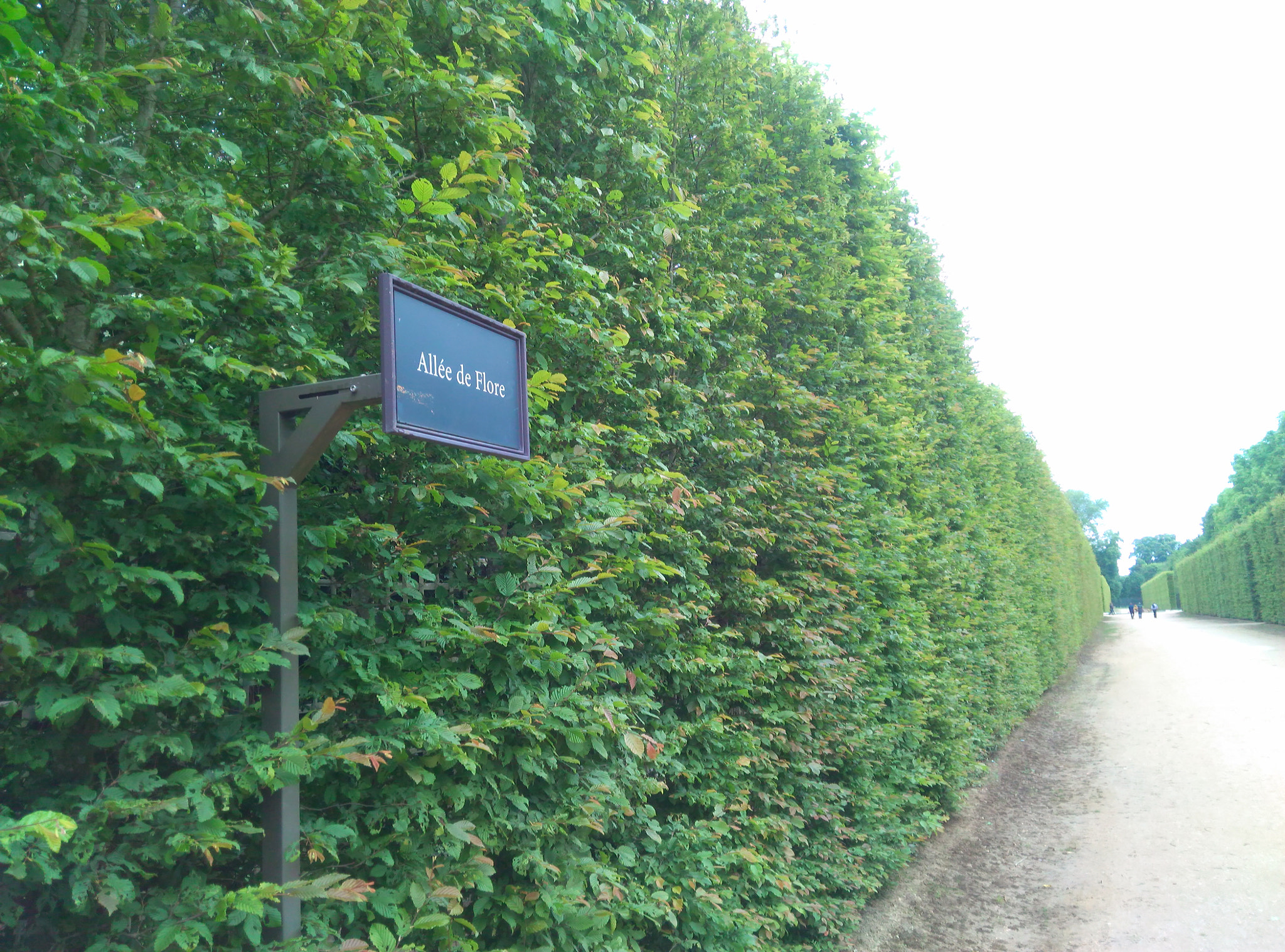 ZTE V5 MAX sample photo. Road and wall in chateau de versailles.jpg photography