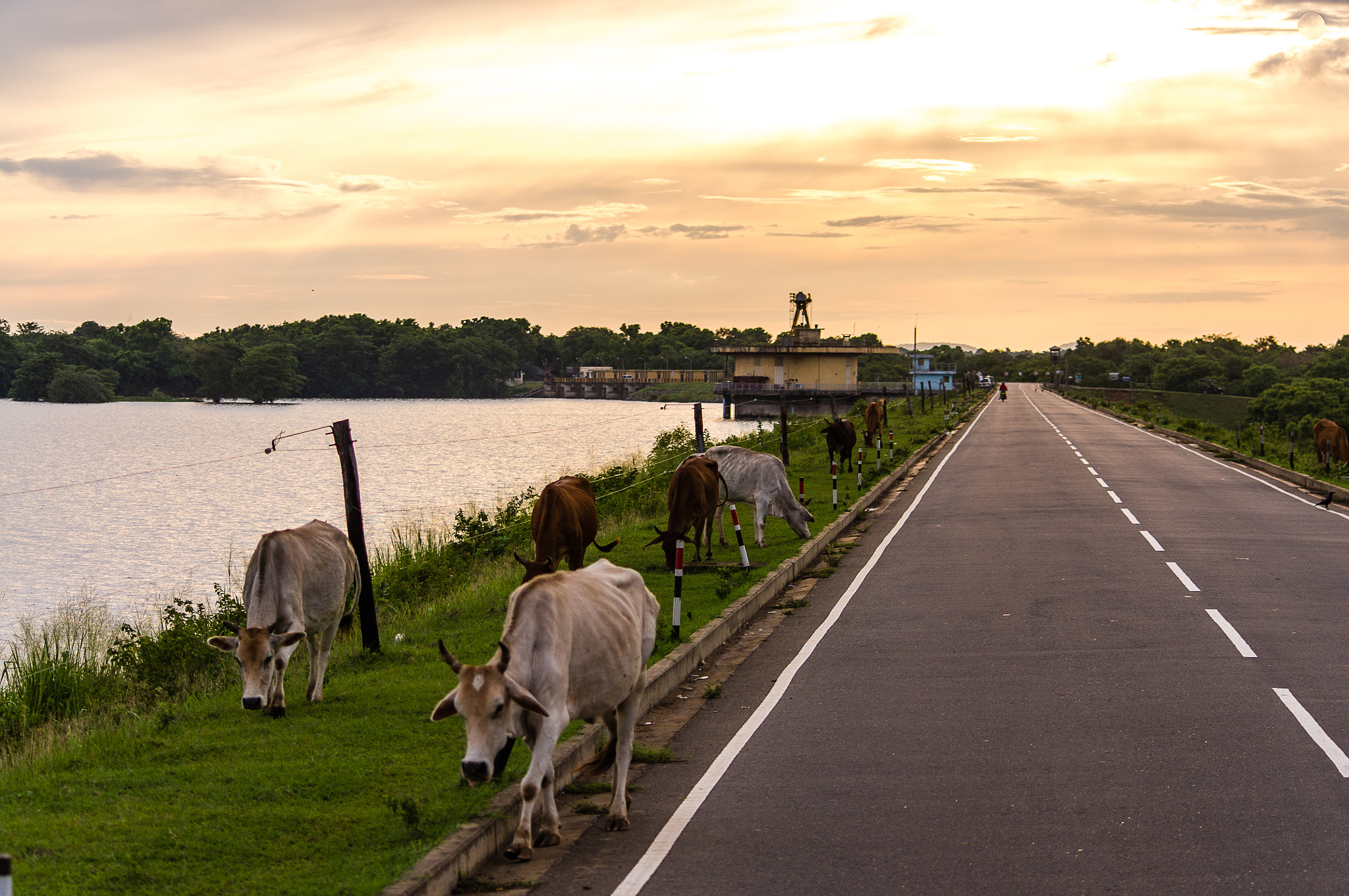 Pentax K-x + Sigma sample photo. Udawalawe dam photography