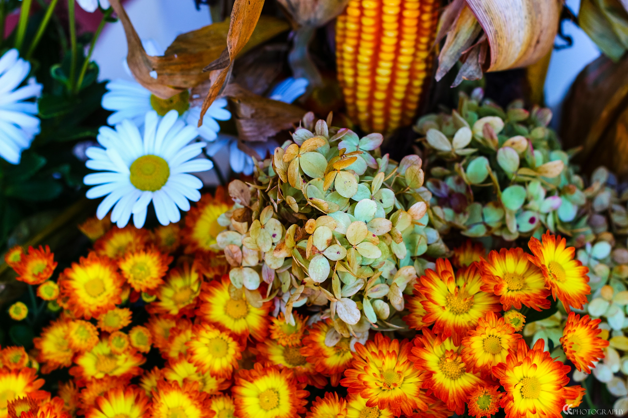 Canon EOS 650D (EOS Rebel T4i / EOS Kiss X6i) + Canon EF 50mm F1.8 II sample photo. Fall display photography