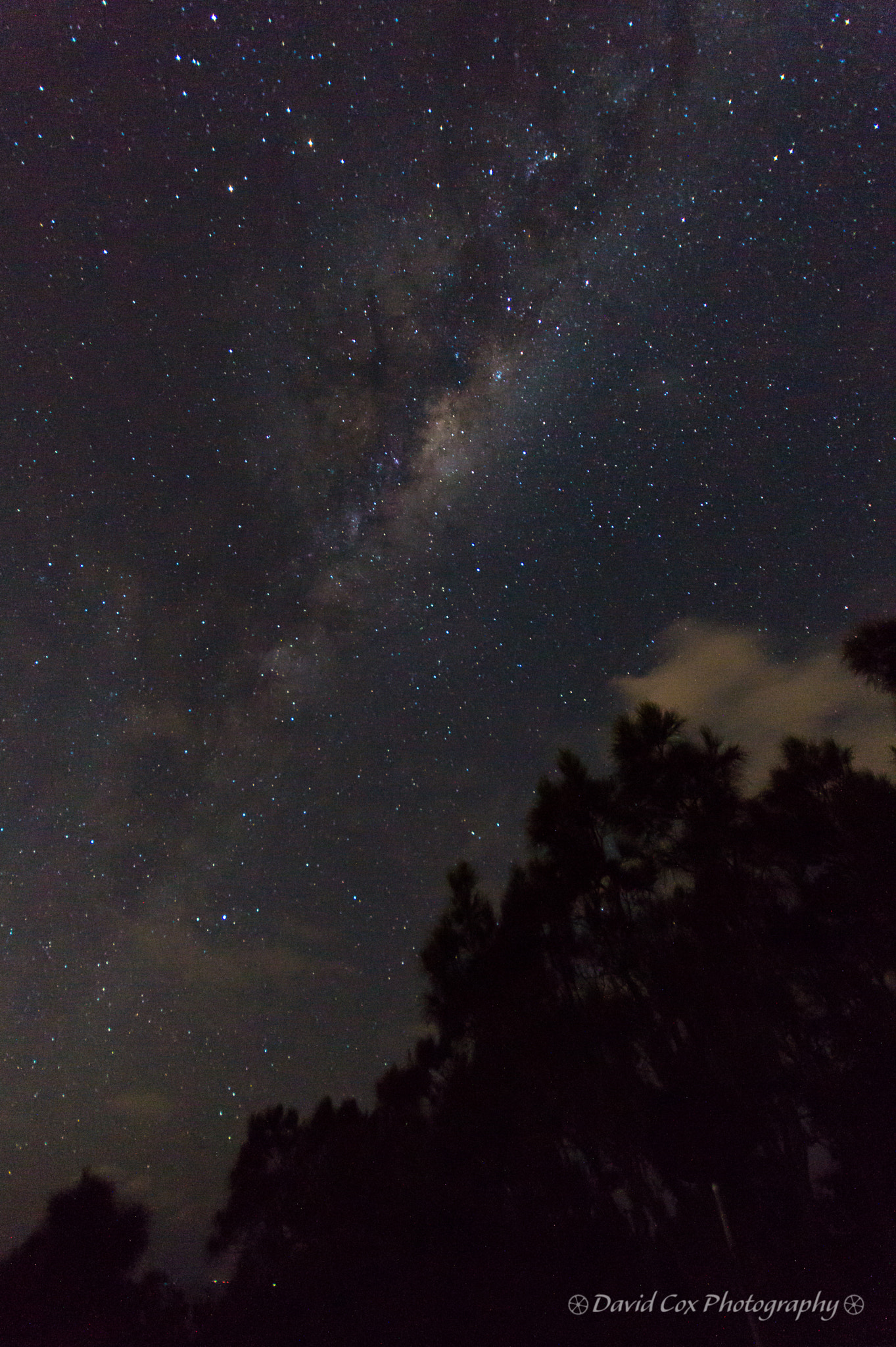 Sigma AF 10-20mm F4-5.6 EX DC sample photo. Milky way photography