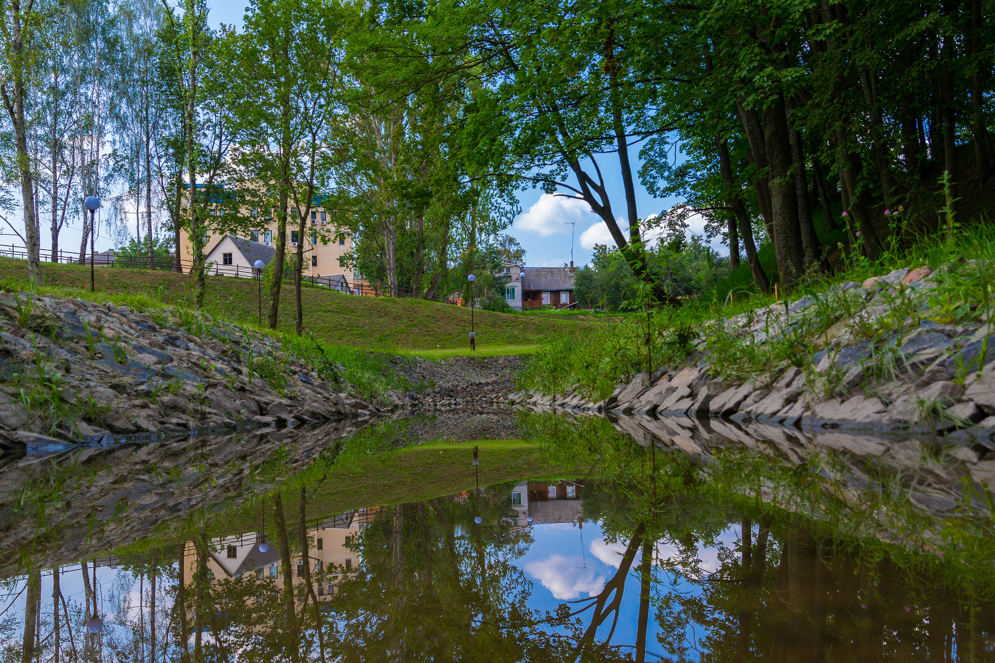 Nikon D3100 + Sigma 24-105mm F4 DG OS HSM Art sample photo. Pond in a park photography