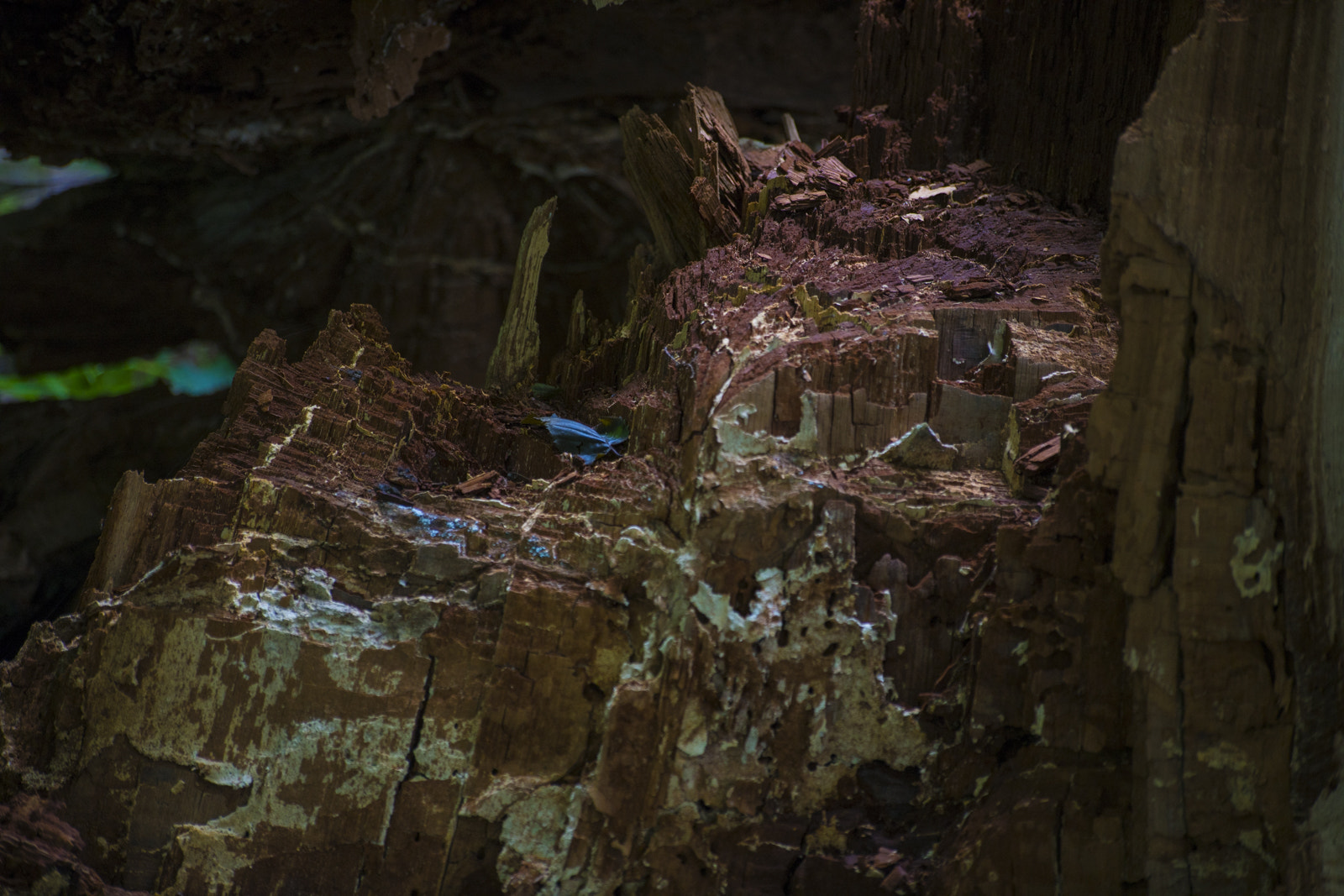Tamron 18-270mm F3.5-6.3 Di II PZD sample photo. *** photography