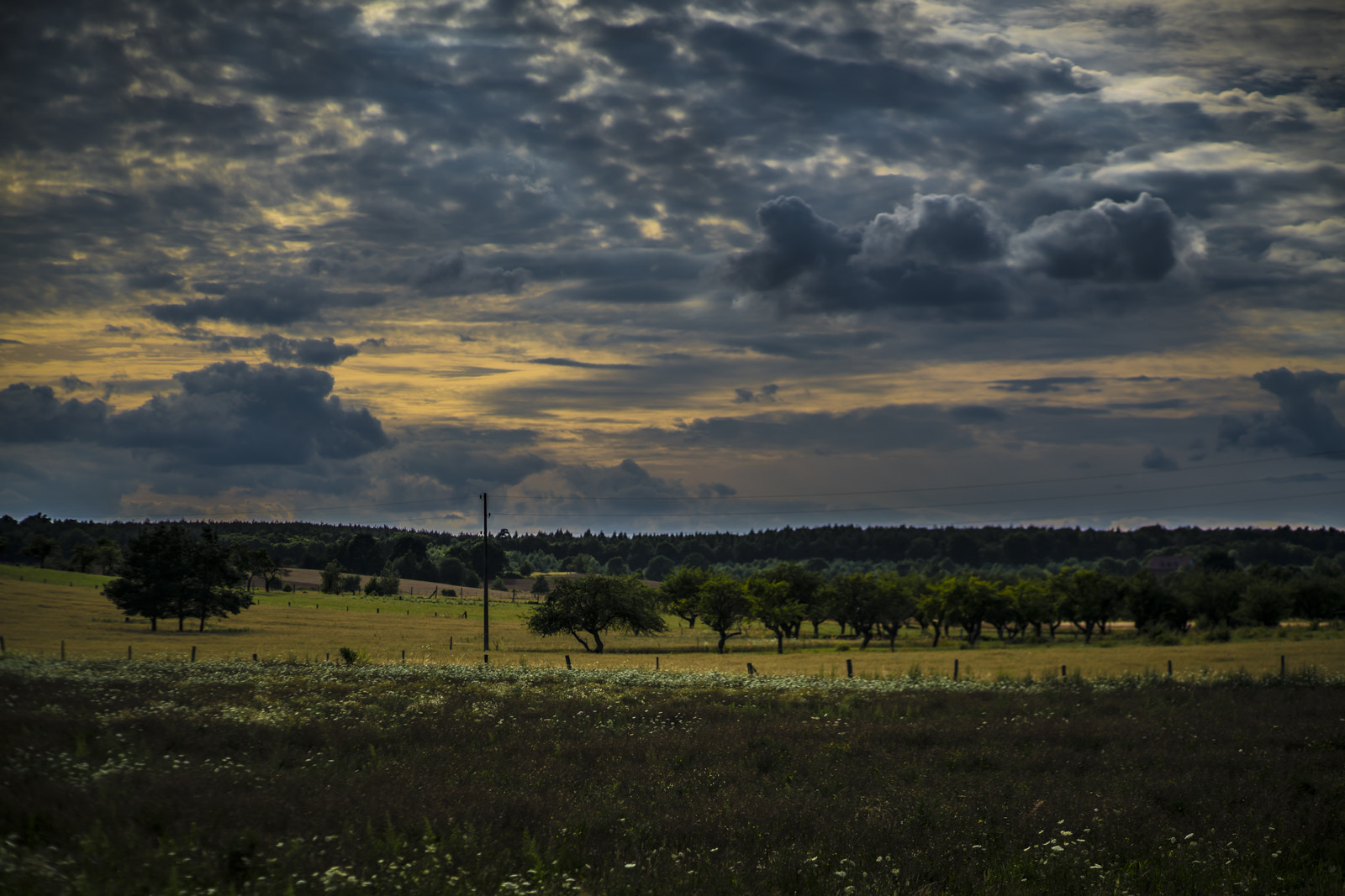 Sony a7R II + Sony DT 50mm F1.8 SAM sample photo. *** photography