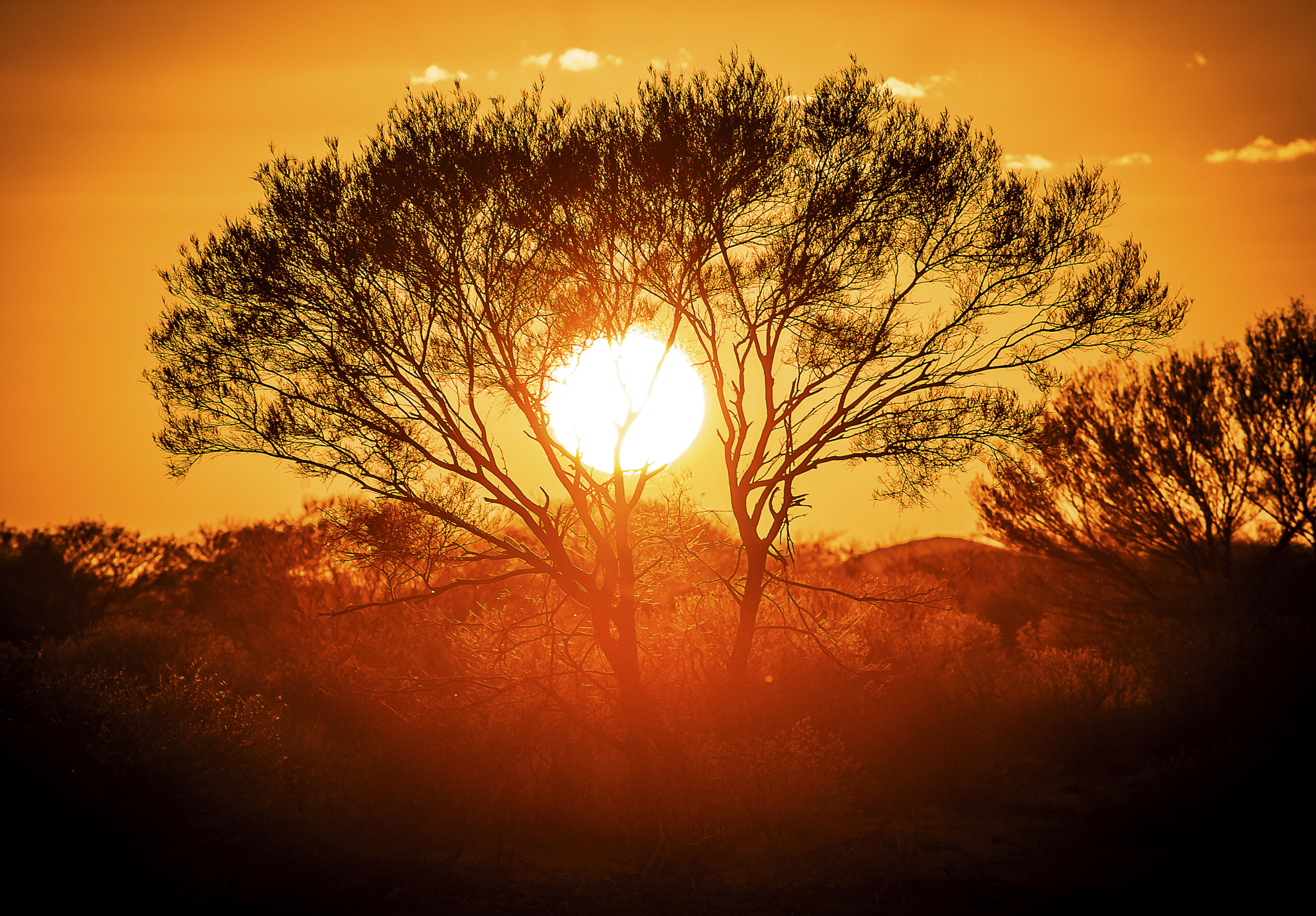 Nikon D3S sample photo. 'dawn rise" photography