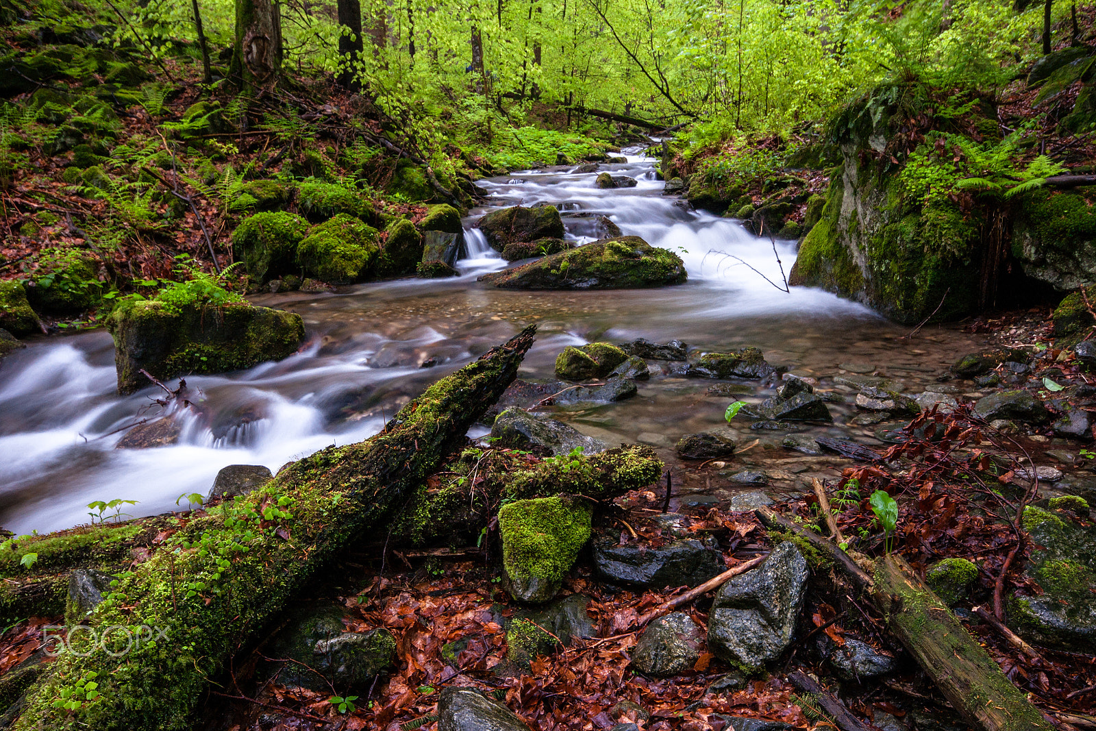 Sigma AF 10-20mm F4-5.6 EX DC sample photo. Bucinsky stream photography