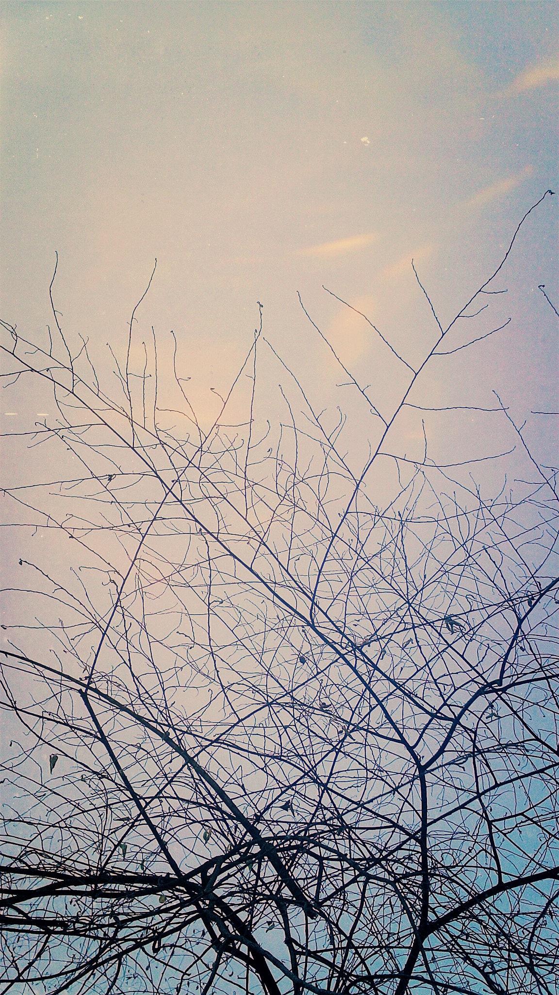 ASUS ZenFone 4 (A400CG) sample photo. Ruwet photography
