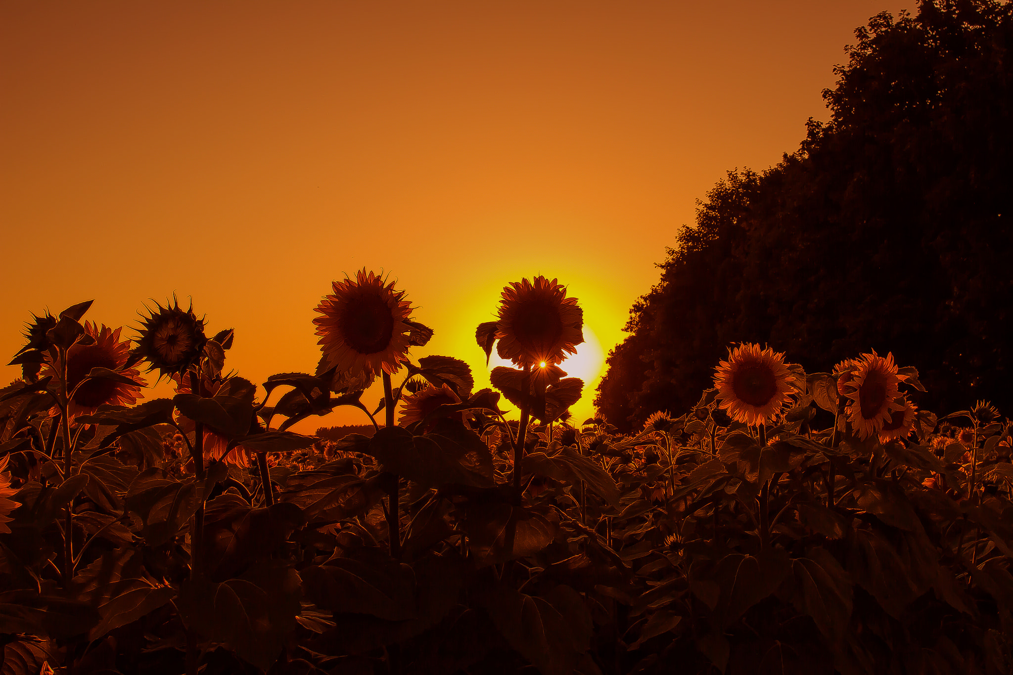 Canon EF 24mm F2.8 IS USM sample photo. --- photography