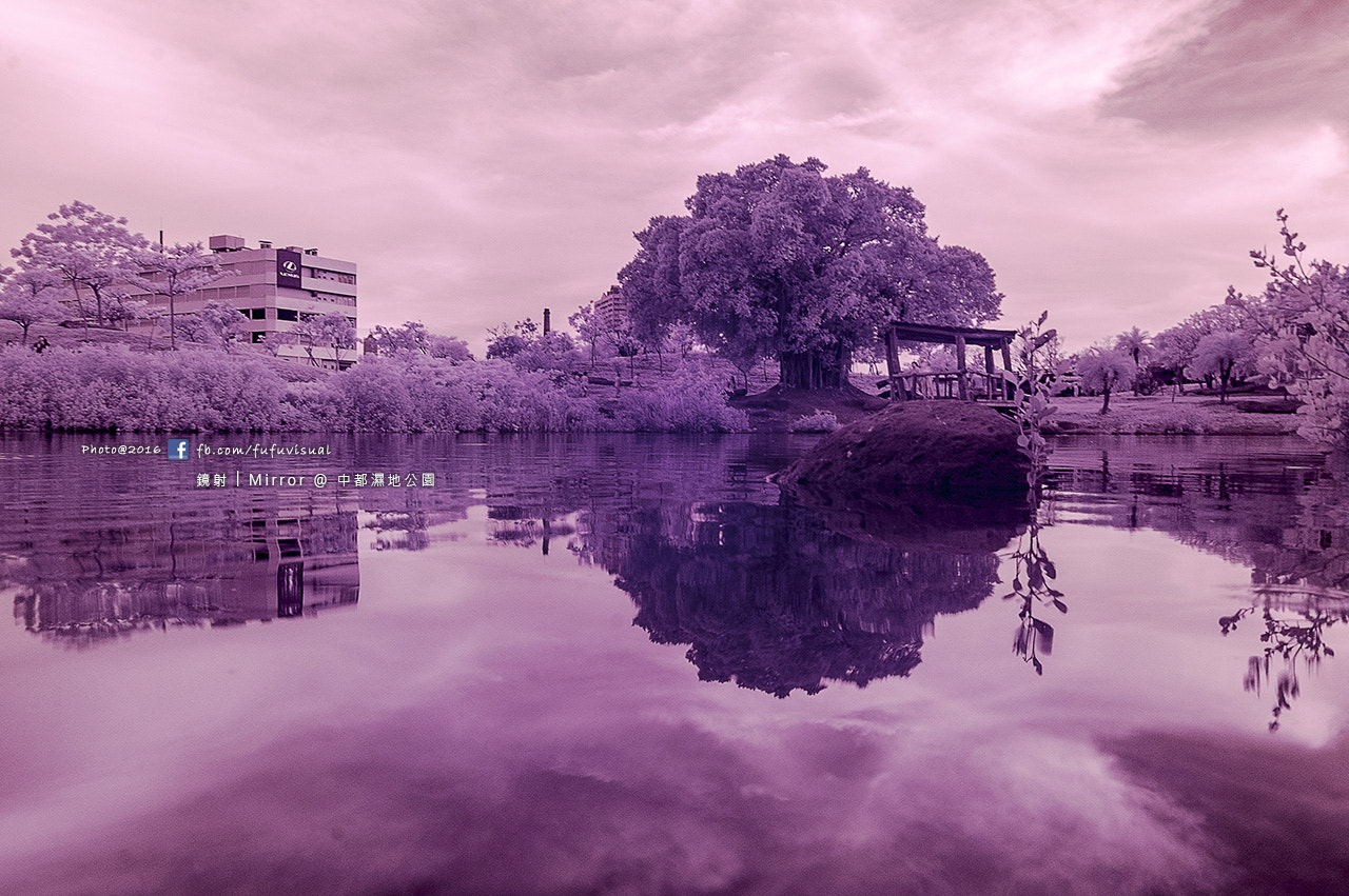 Nikon D70s + Sigma 18-50mm F2.8 EX DC Macro sample photo. 鏡射 mirror @ 中都濕地公園 ir720 photography