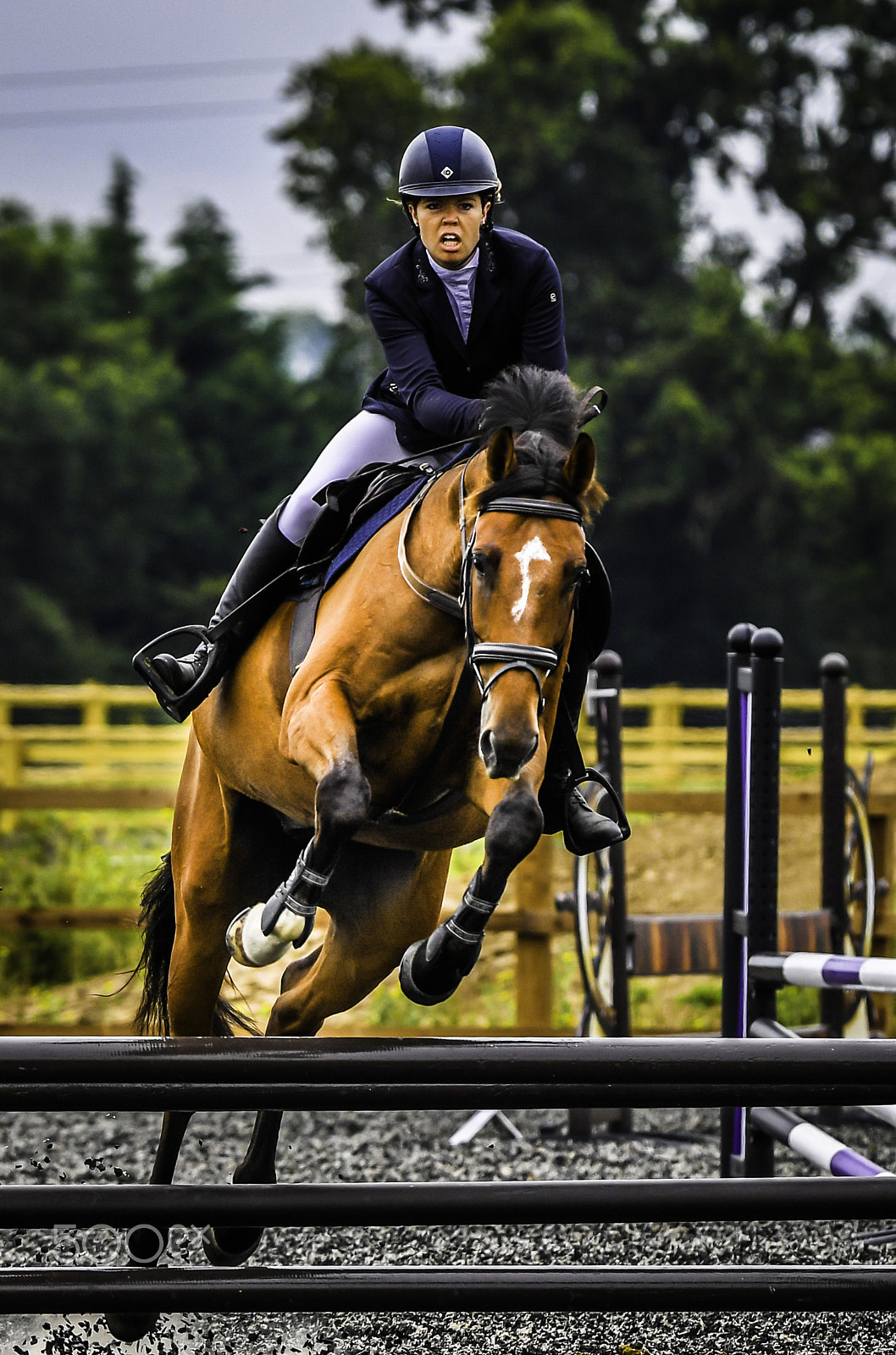Nikon AF-S Nikkor 200-500mm F5.6E ED VR sample photo. Lady show jumper photography