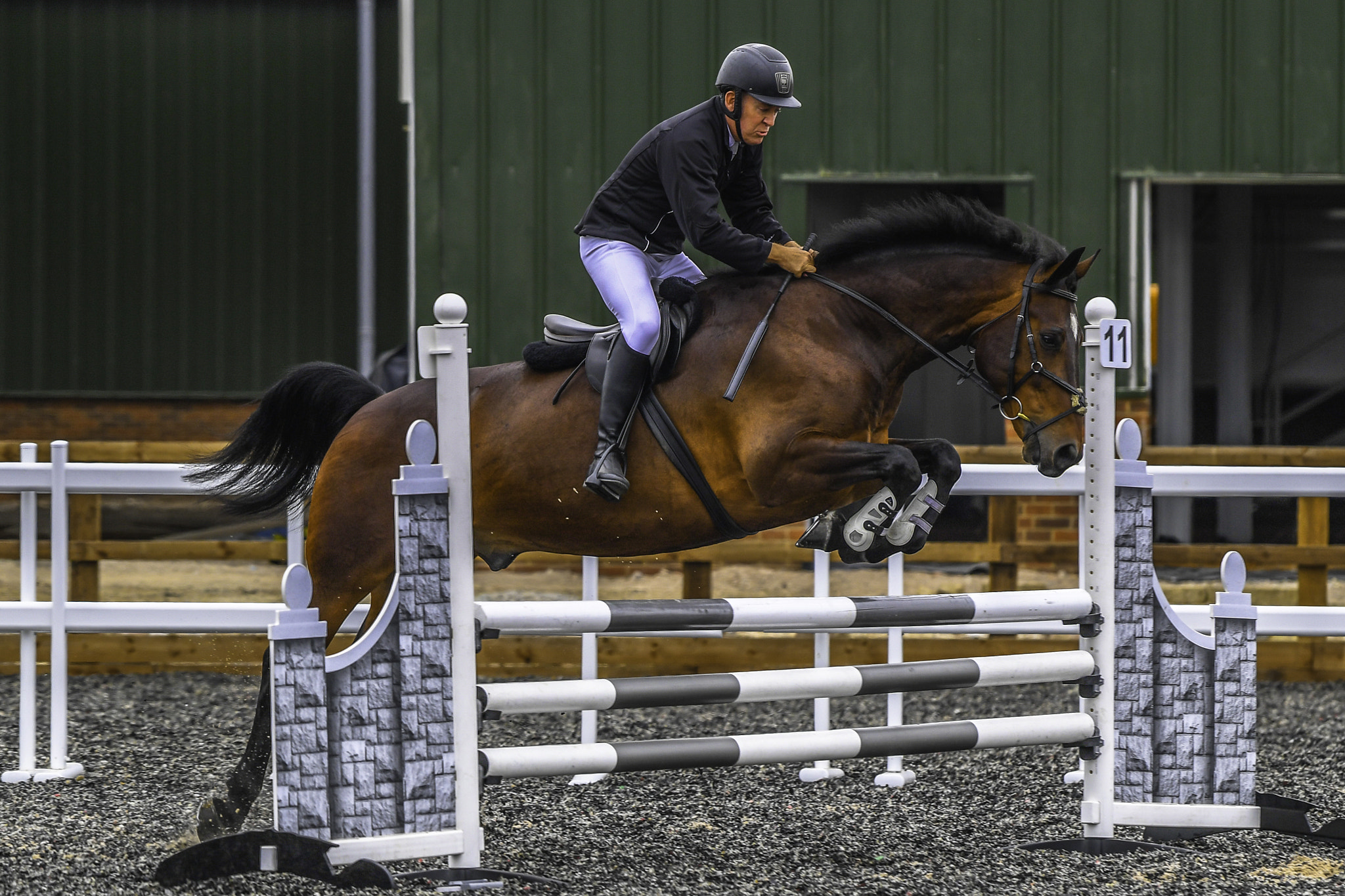 Nikon AF-S Nikkor 200-500mm F5.6E ED VR sample photo. Male showjumper photography