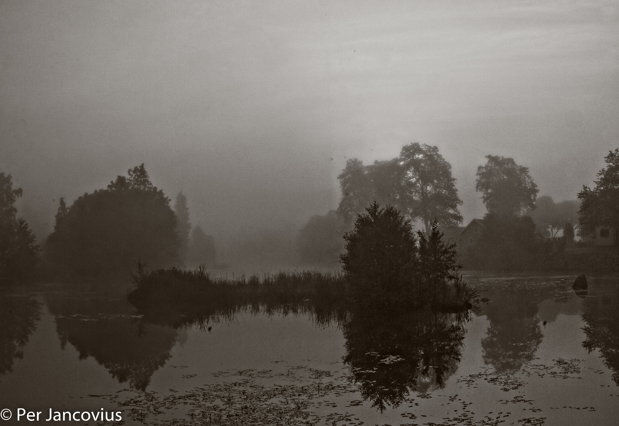 Canon EOS 40D sample photo. Foggy in bnw photography