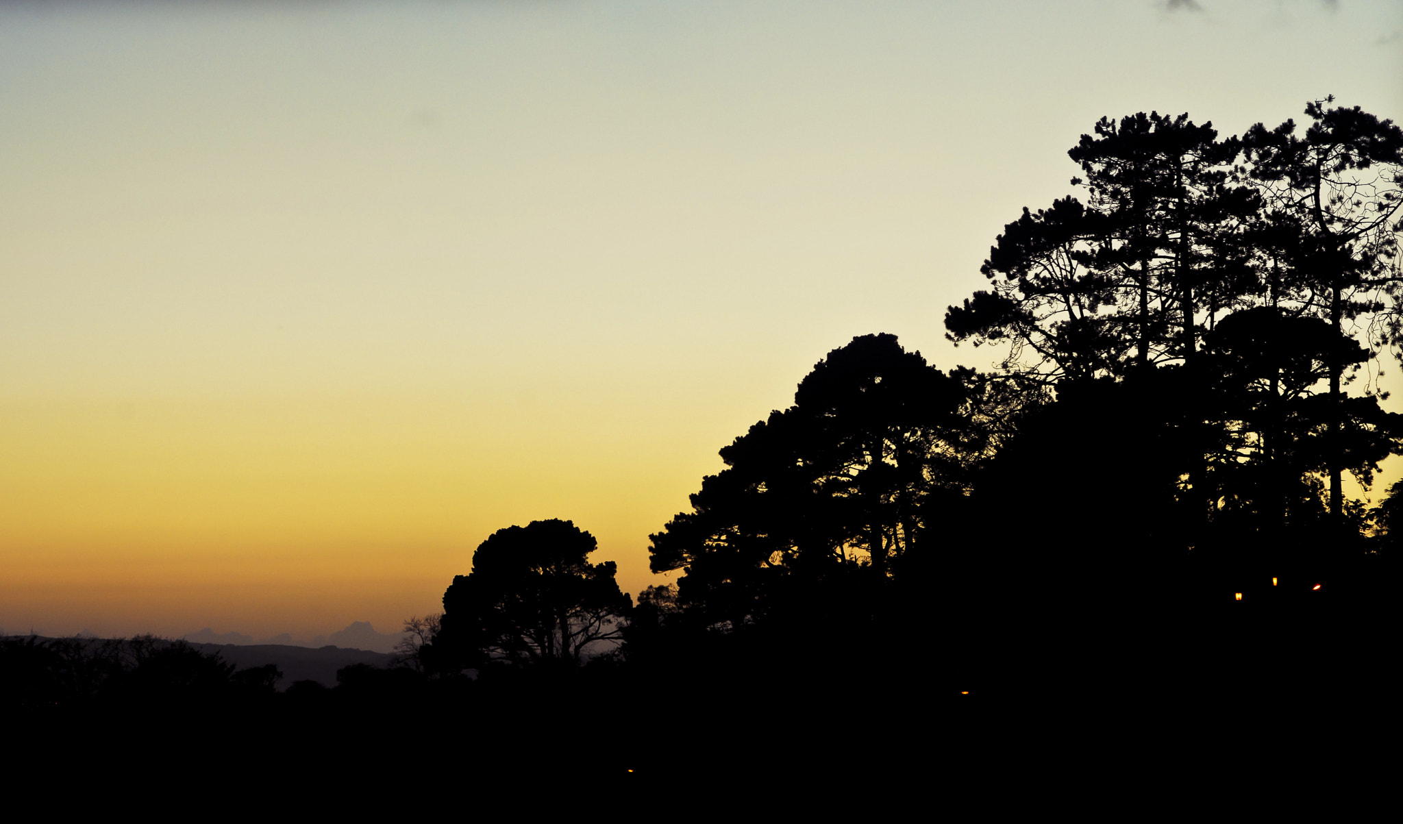 Nikon D200 + Sigma 85mm F1.4 EX DG HSM sample photo. Good night cork~~ o photography