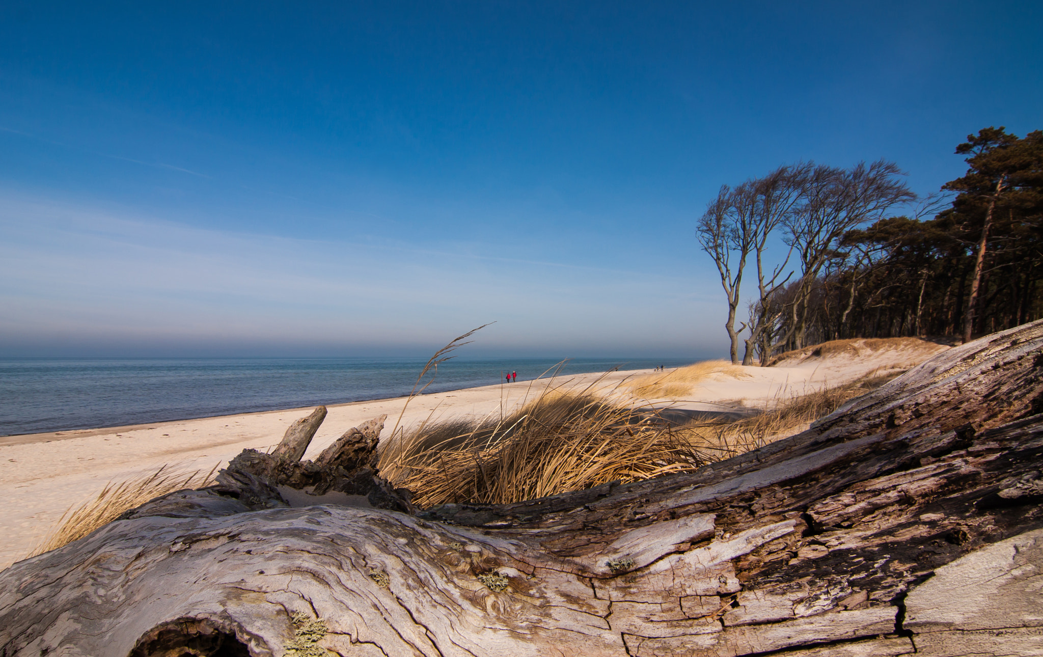 Tokina AT-X Pro 12-24mm F4 (IF) DX sample photo. Beach walk photography