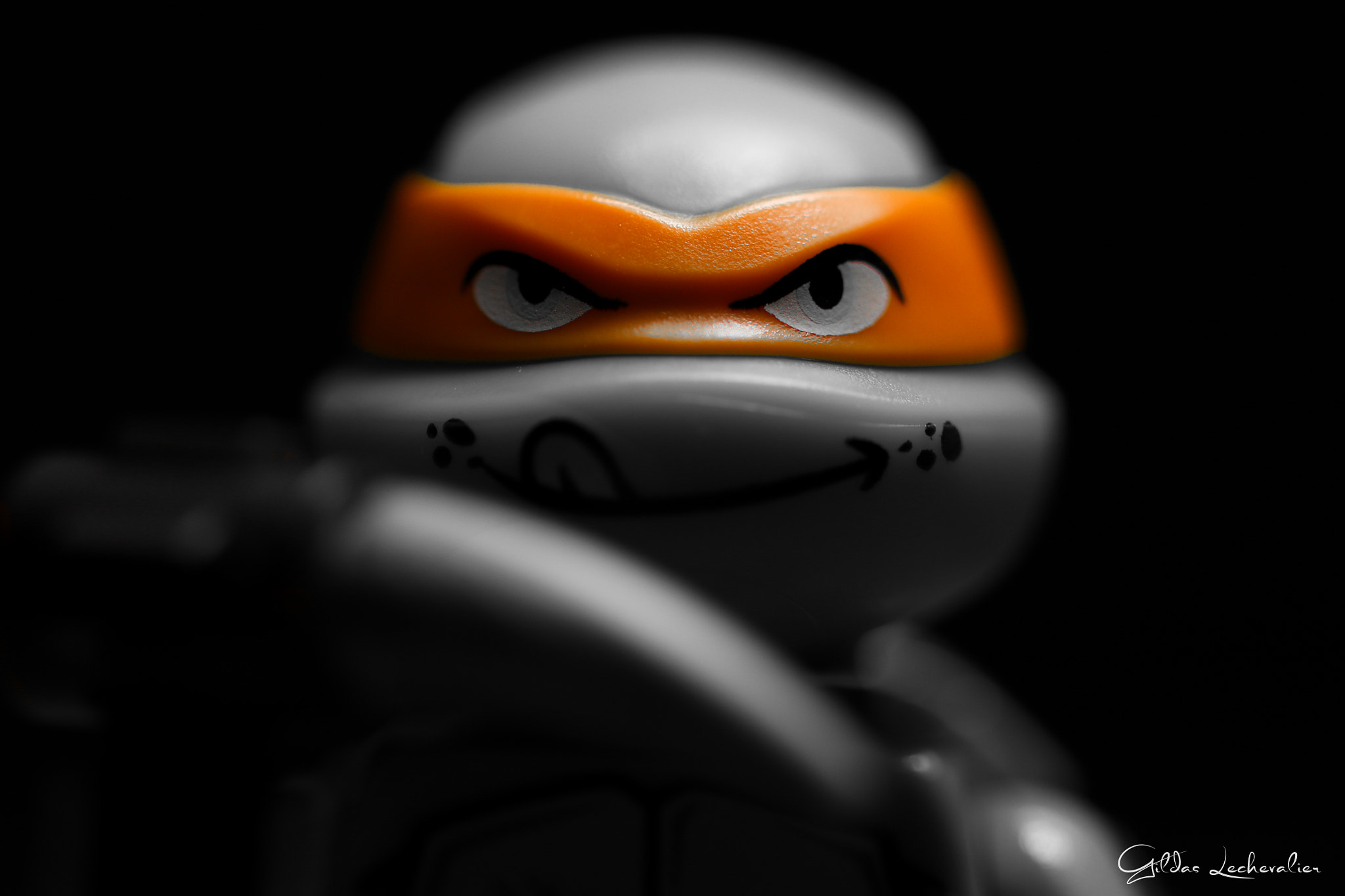 Canon EF 100mm F2.8 Macro USM sample photo. Shadow michelangelo tmnt photography