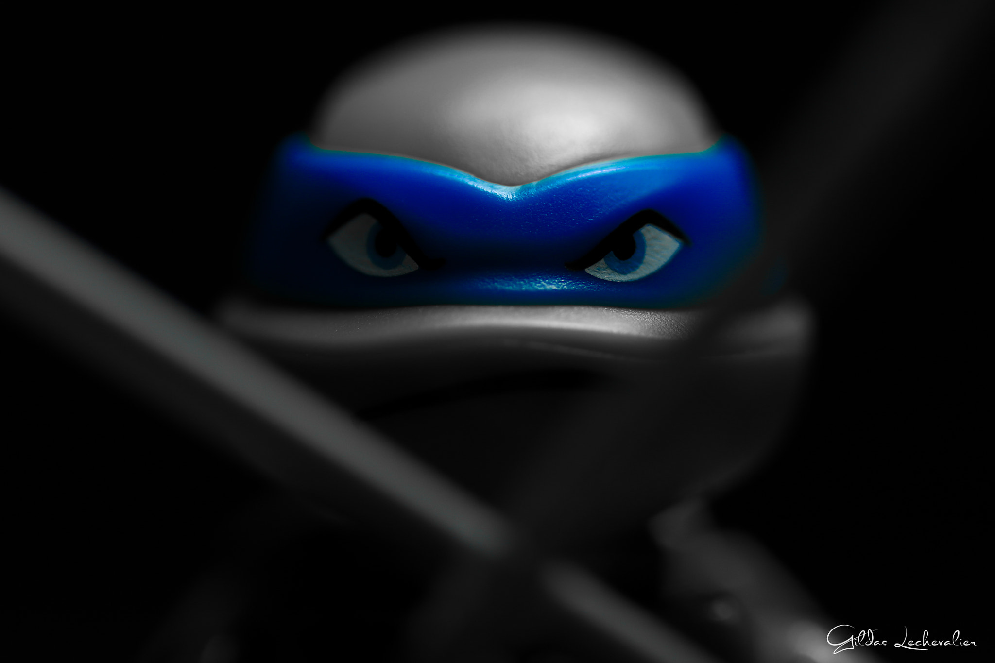 Canon EF 100mm F2.8 Macro USM sample photo. Shadow leonardo tmnt photography