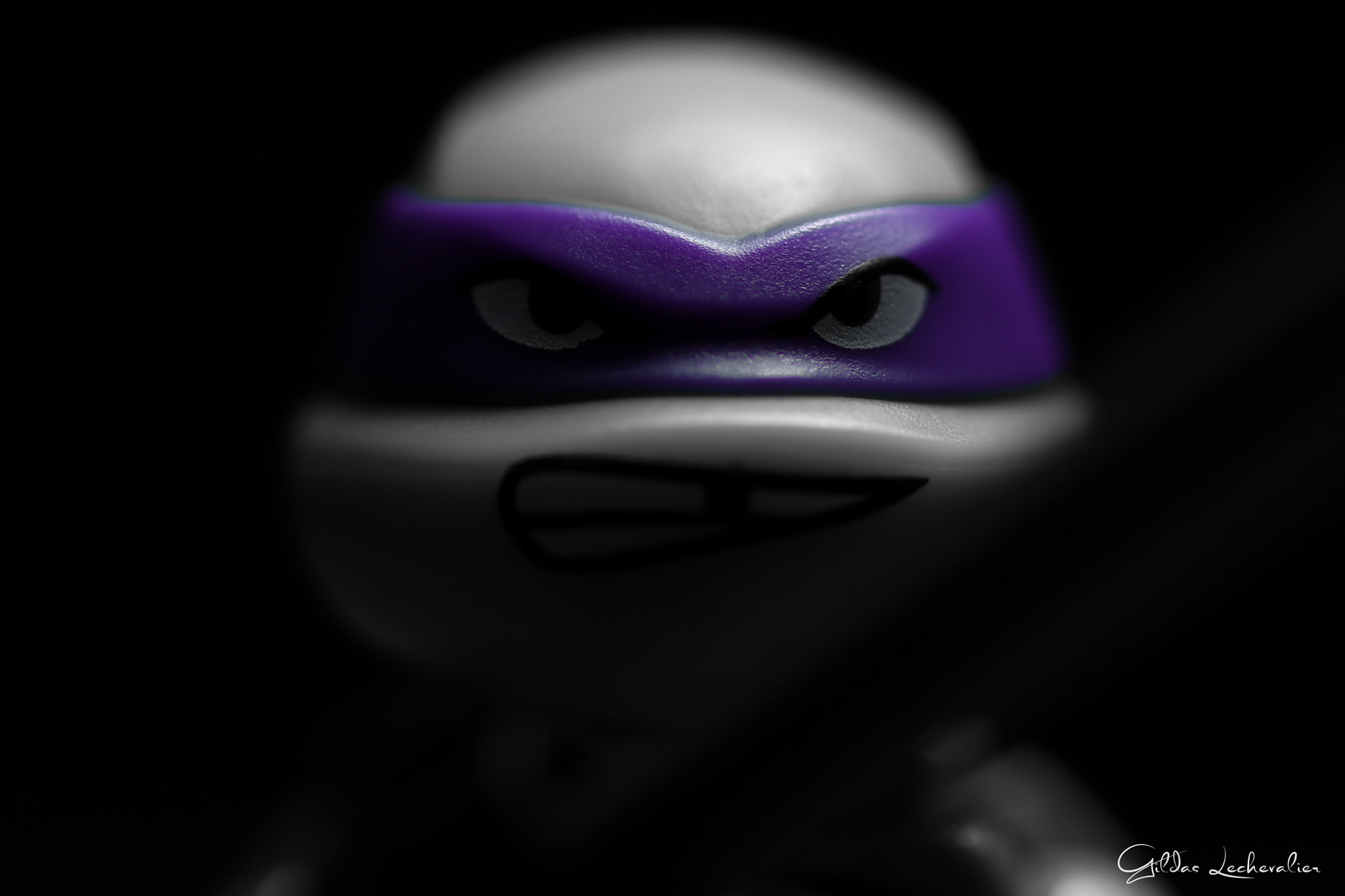 Canon EF 100mm F2.8 Macro USM sample photo. Shadow donatello tmnt photography