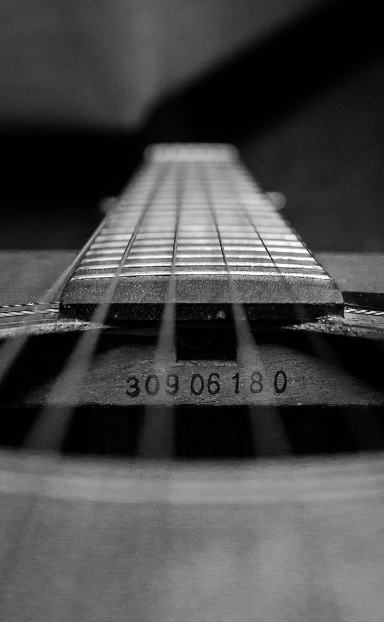 Canon EOS 1200D (EOS Rebel T5 / EOS Kiss X70 / EOS Hi) + Canon EF 40mm F2.8 STM sample photo. Strings photography