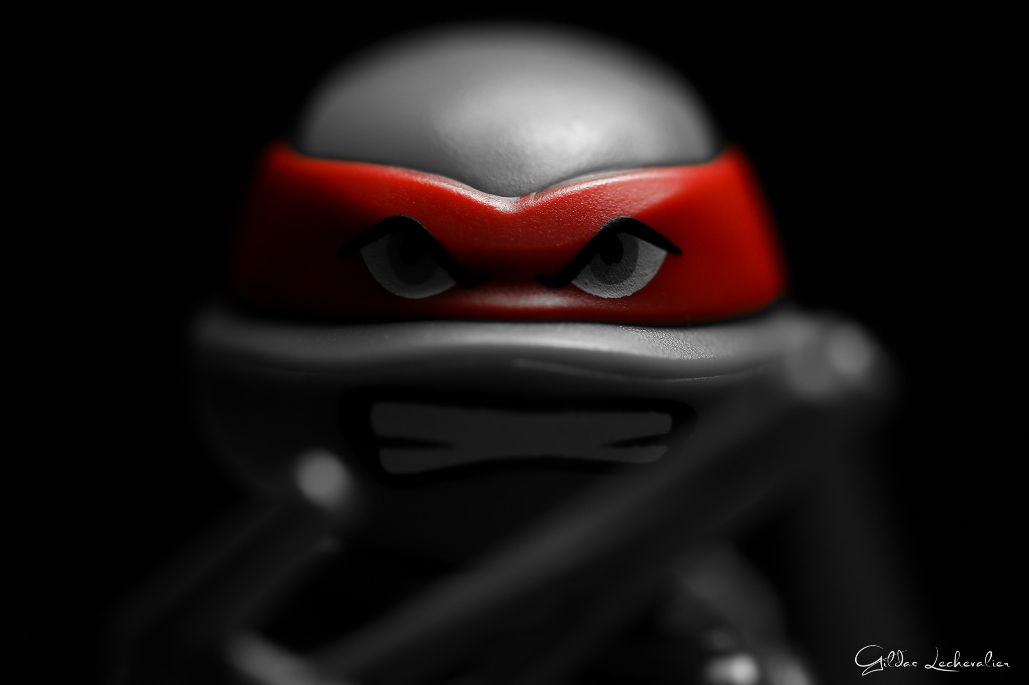 Canon EF 100mm F2.8 Macro USM sample photo. Shadow raphael tmnt photography
