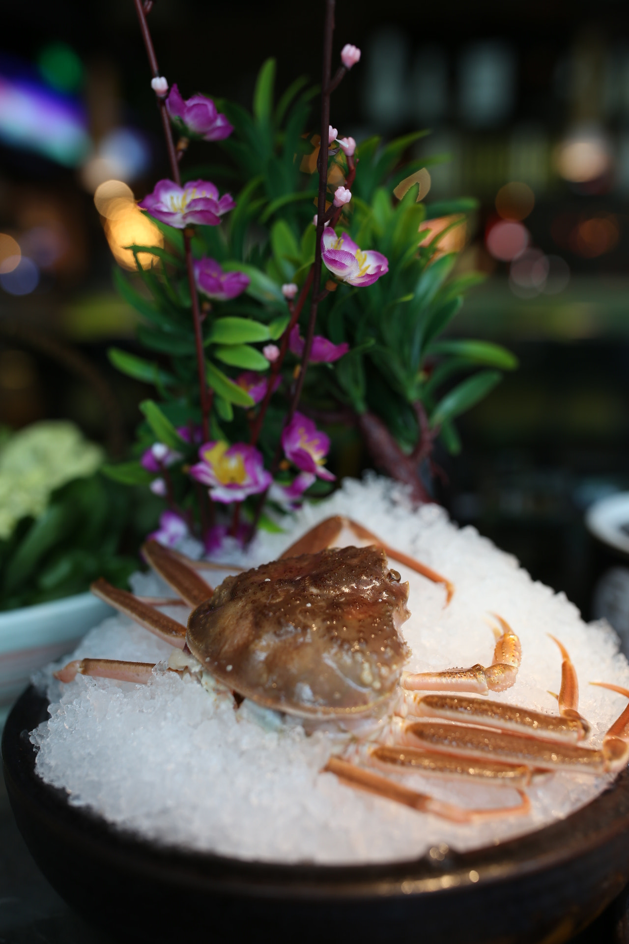 Canon EF 35mm F1.4L II USM sample photo. Crab photography