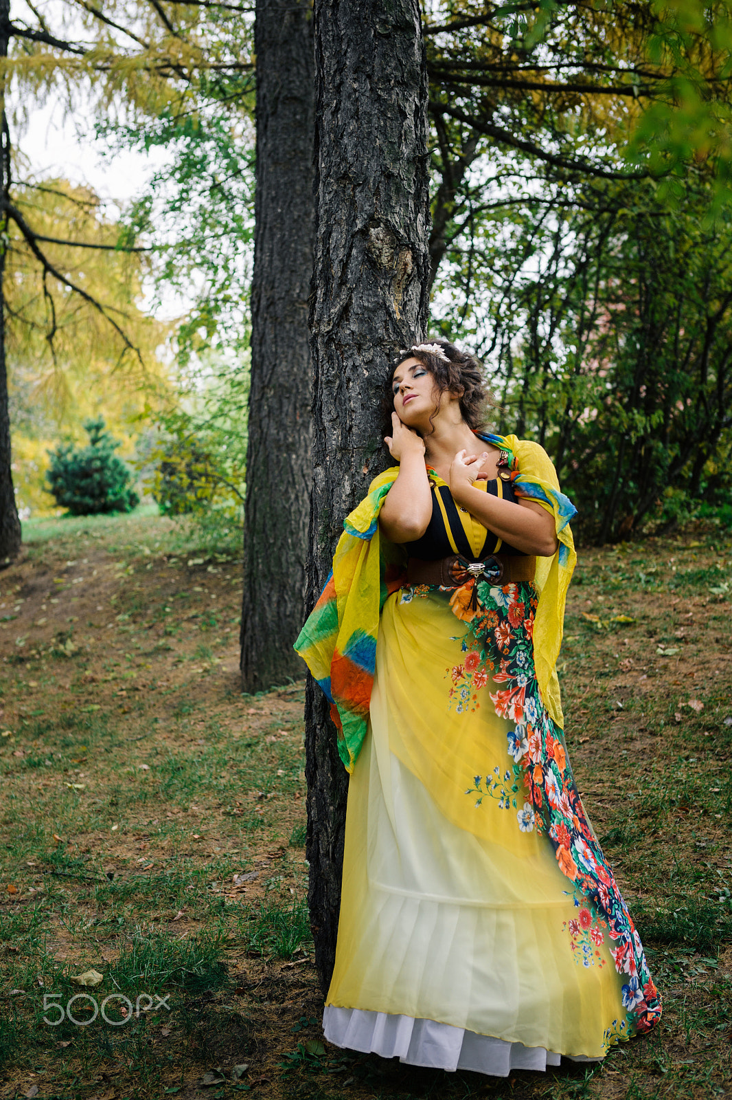 Sony Planar T* 50mm F1.4 ZA SSM sample photo. Russian indian summer photography