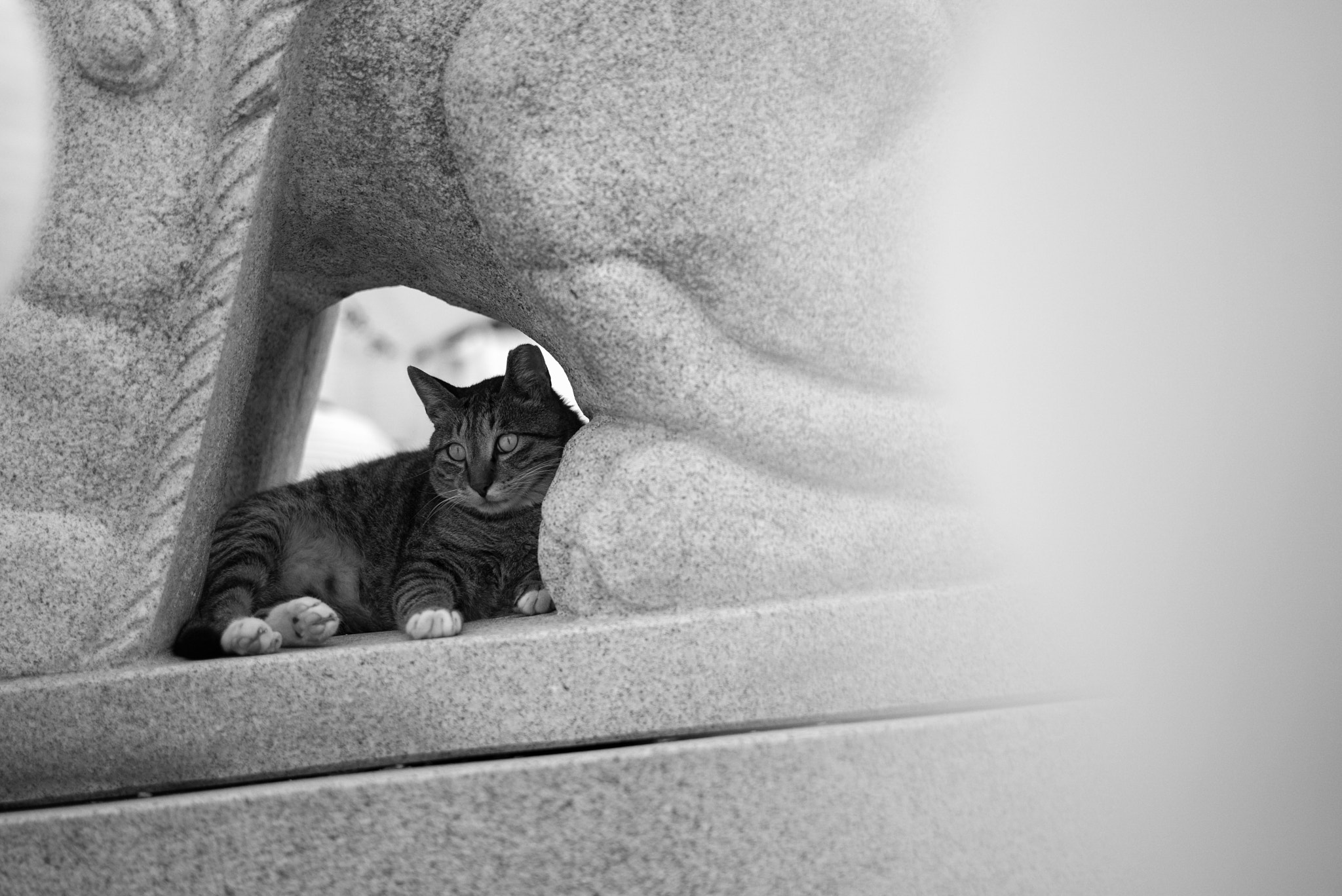 Leica APO-Summicron-M 90mm F2 ASPH sample photo