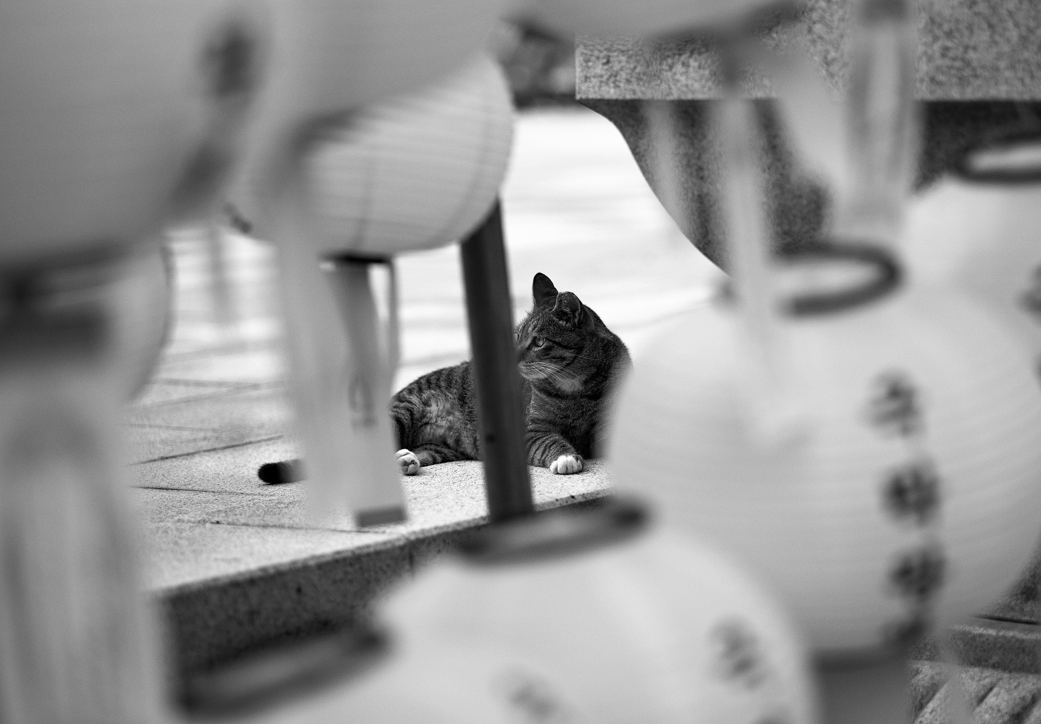 Leica APO-Summicron-M 90mm F2 ASPH sample photo