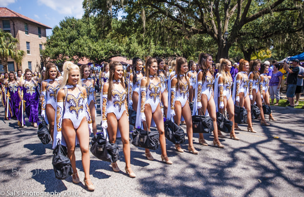 Nikon D3 + AF Zoom-Nikkor 24-120mm f/3.5-5.6D IF sample photo. Lsu golden girls photography