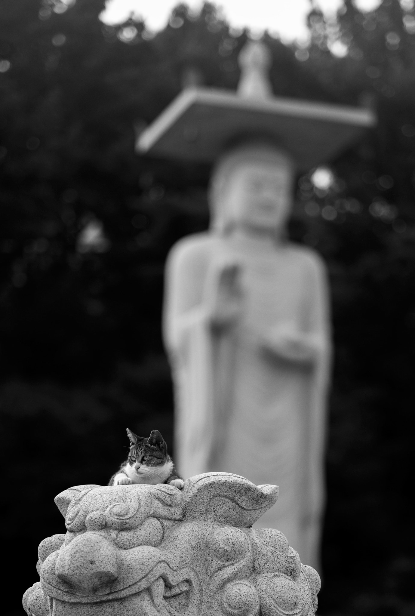 Leica APO-Summicron-M 90mm F2 ASPH sample photo