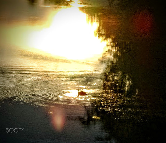 Sony DSC-S730 sample photo. Evening swim photography