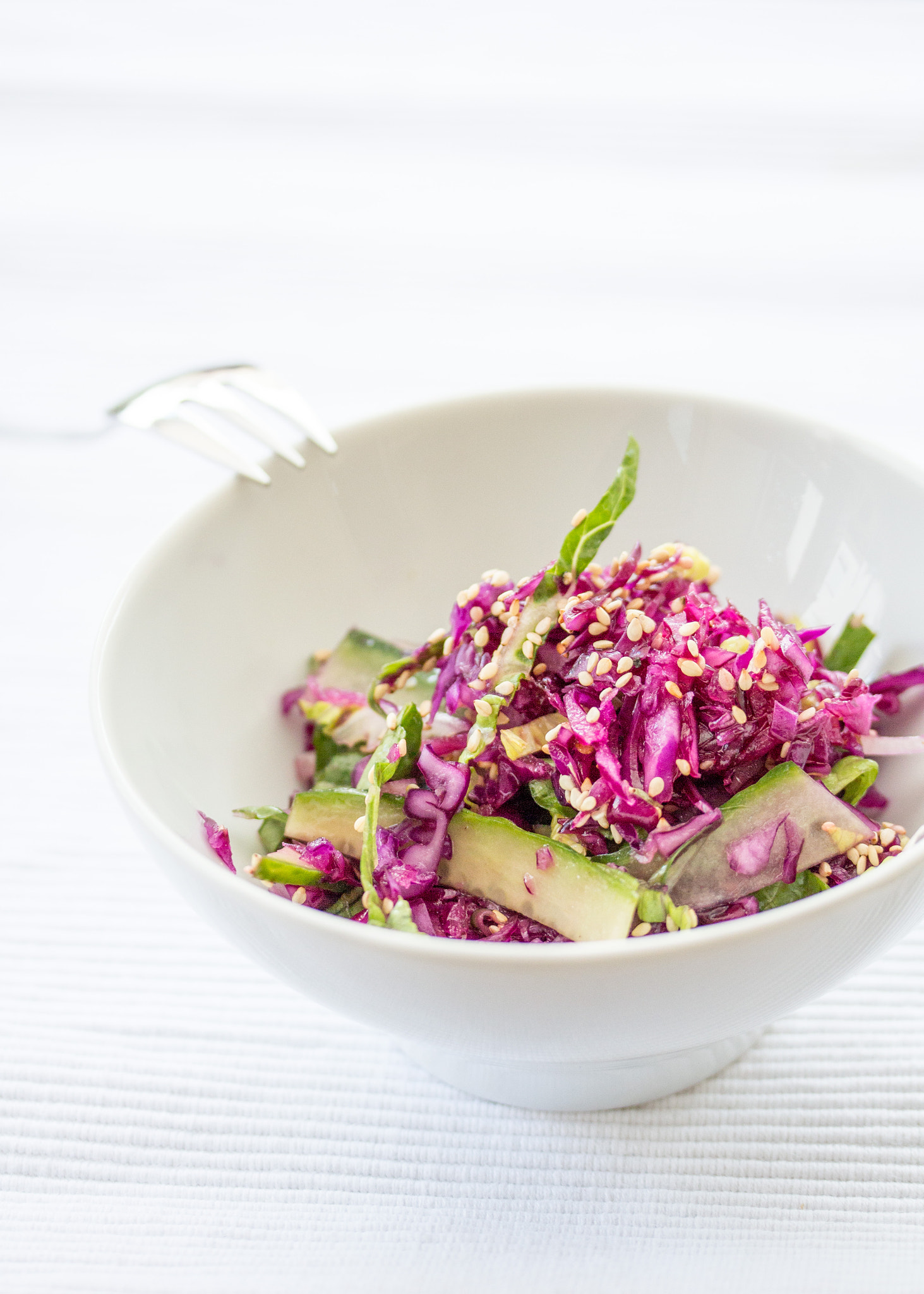 Canon EF-S 60mm F2.8 Macro USM sample photo. Red cabbage photography