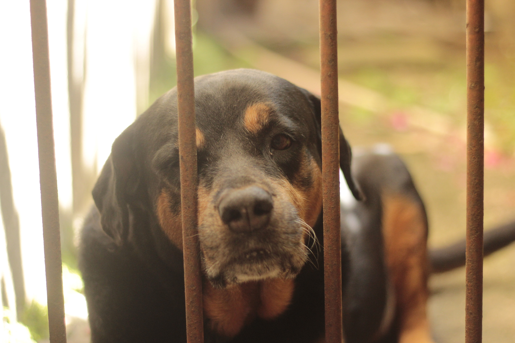 Canon EF 50mm F1.8 II sample photo. Dalila. photography