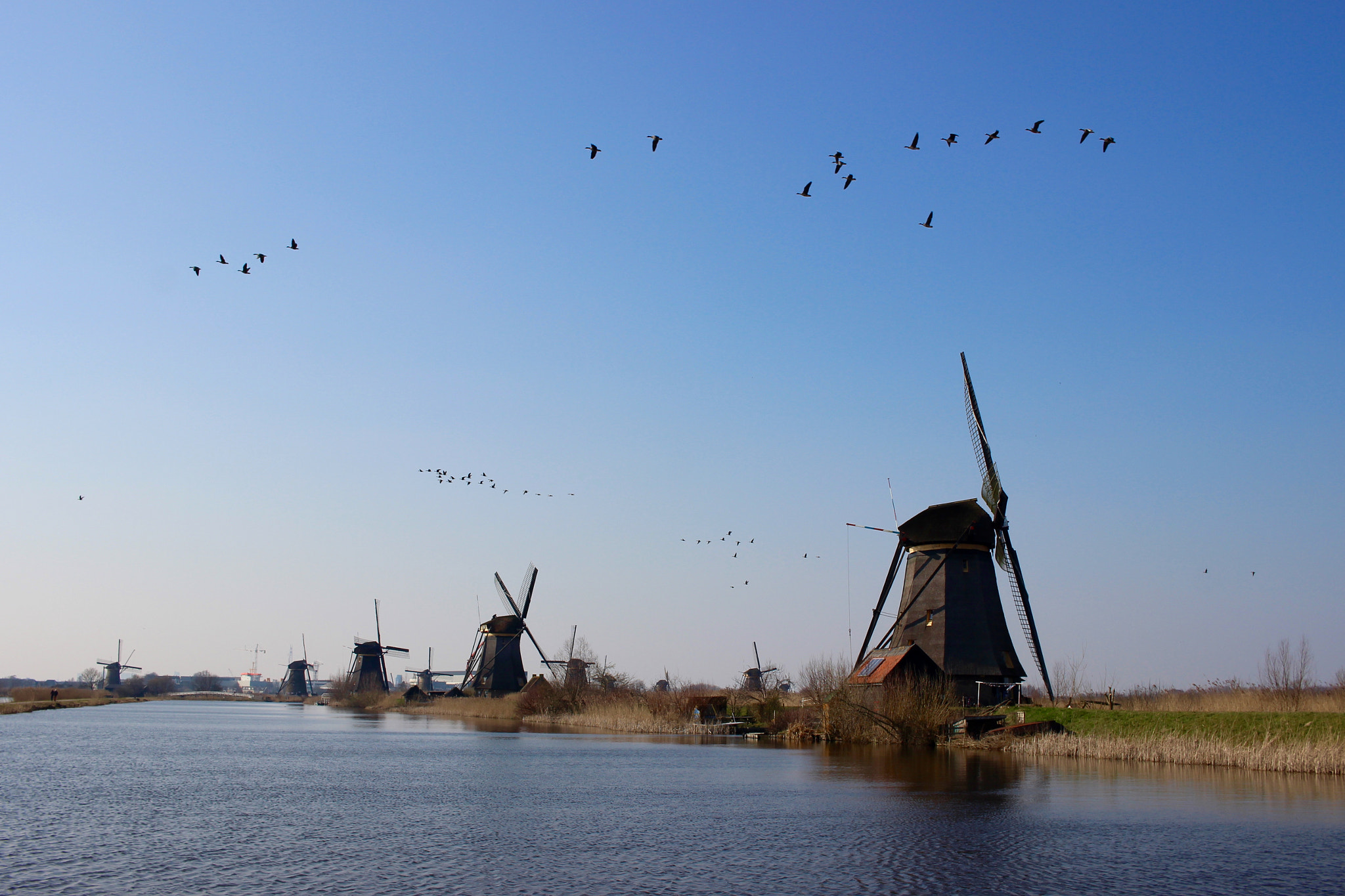 Canon EOS 600D (Rebel EOS T3i / EOS Kiss X5) sample photo. Windmills photography