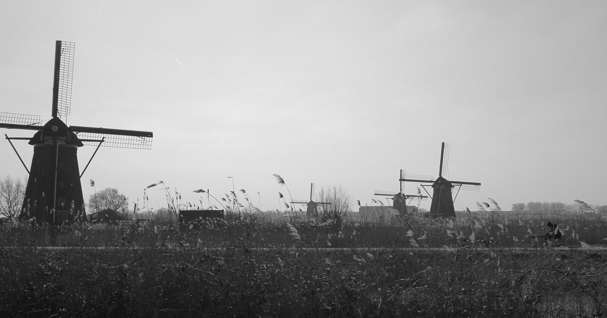 Canon EOS 600D (Rebel EOS T3i / EOS Kiss X5) sample photo. Windmills photography