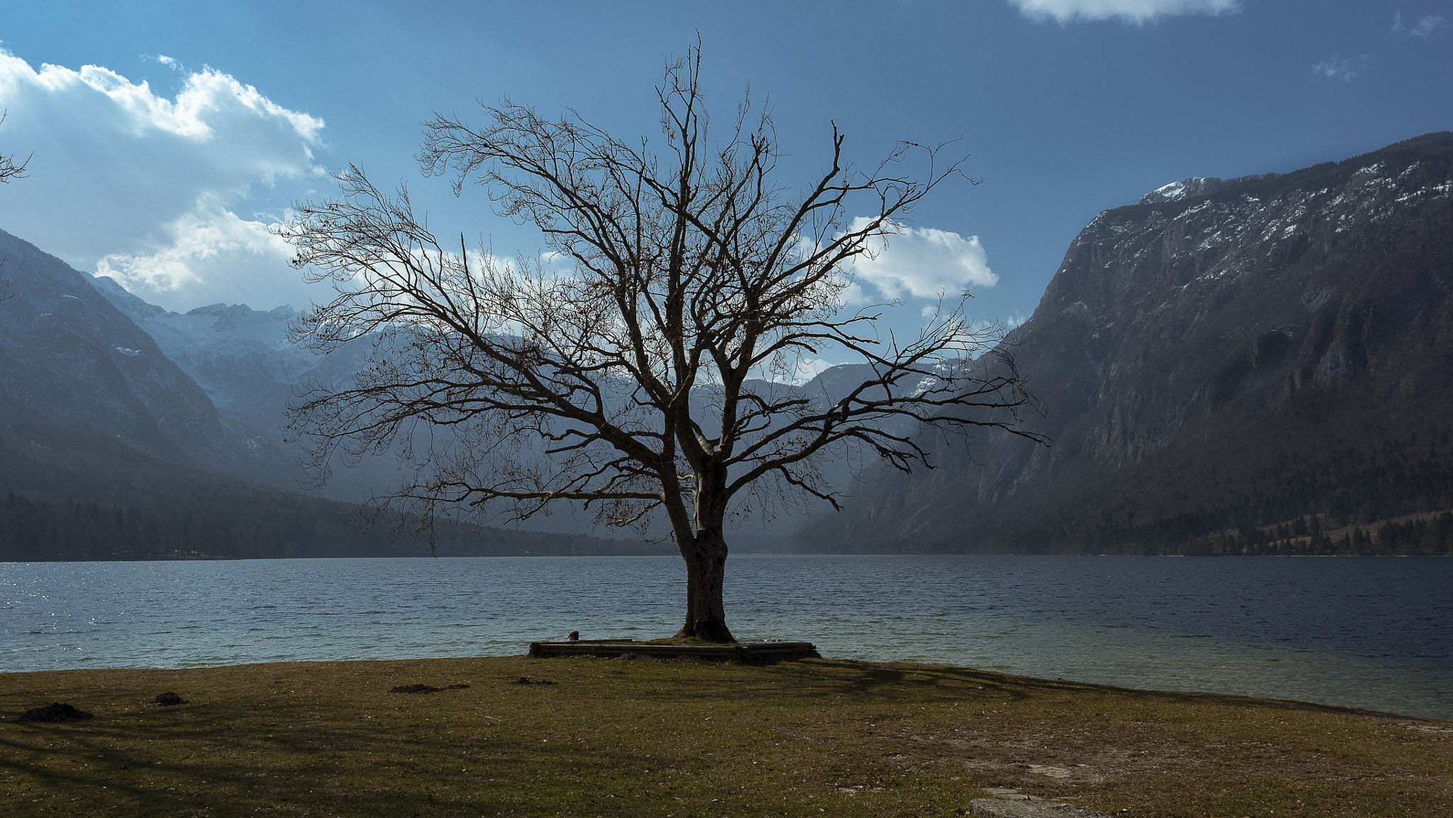Canon EOS-1Ds Mark II sample photo