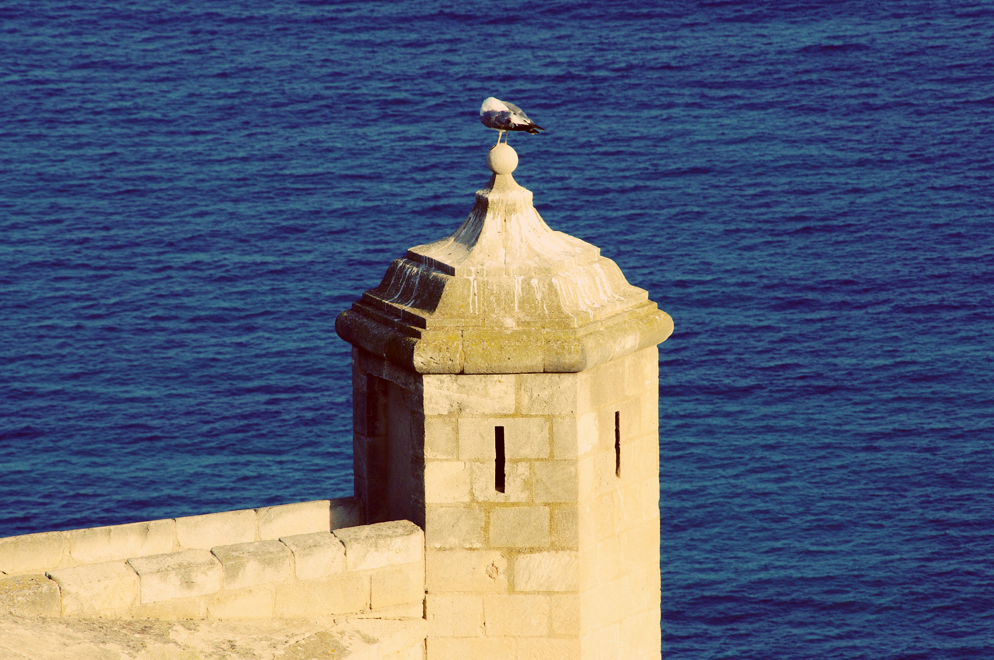 smc PENTAX-DA L 55-300mm F4-5.8 ED sample photo. The parapet  photography