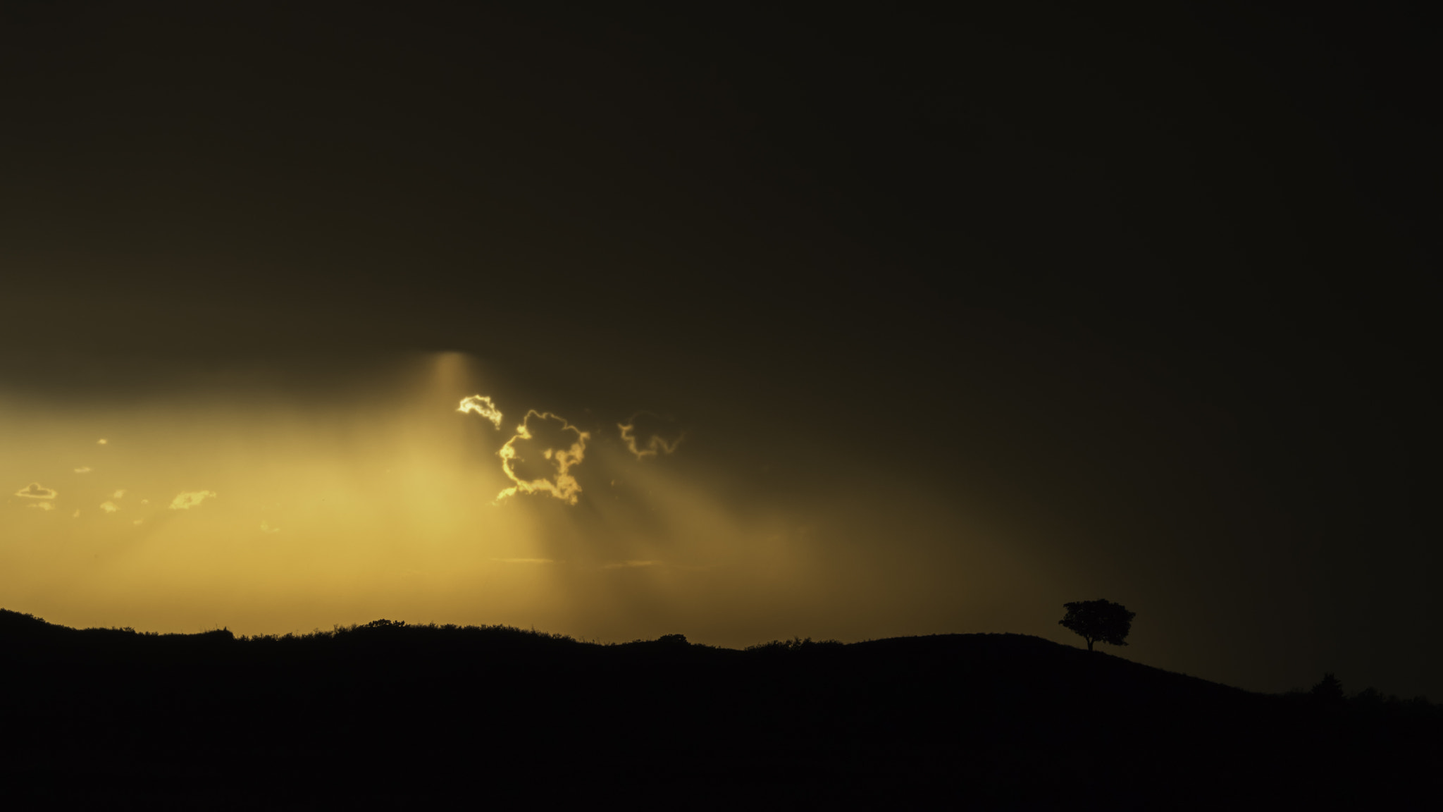 Nikon D5 sample photo. Every storm must end photography