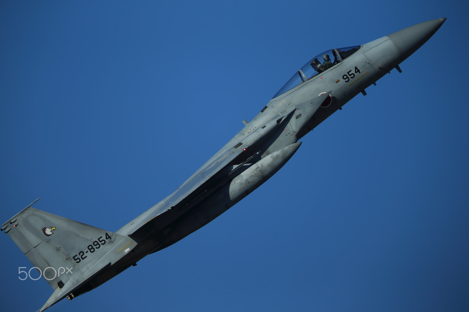 Canon EF 400mm F2.8L IS II USM sample photo. The strongest of the eagle squadron photography