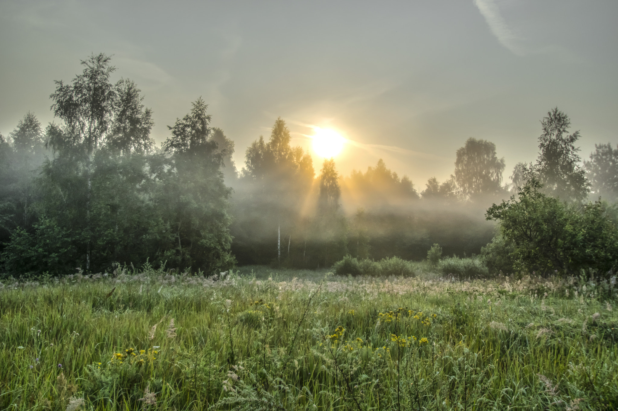 Pentax K-3 II sample photo. Summer morning photography