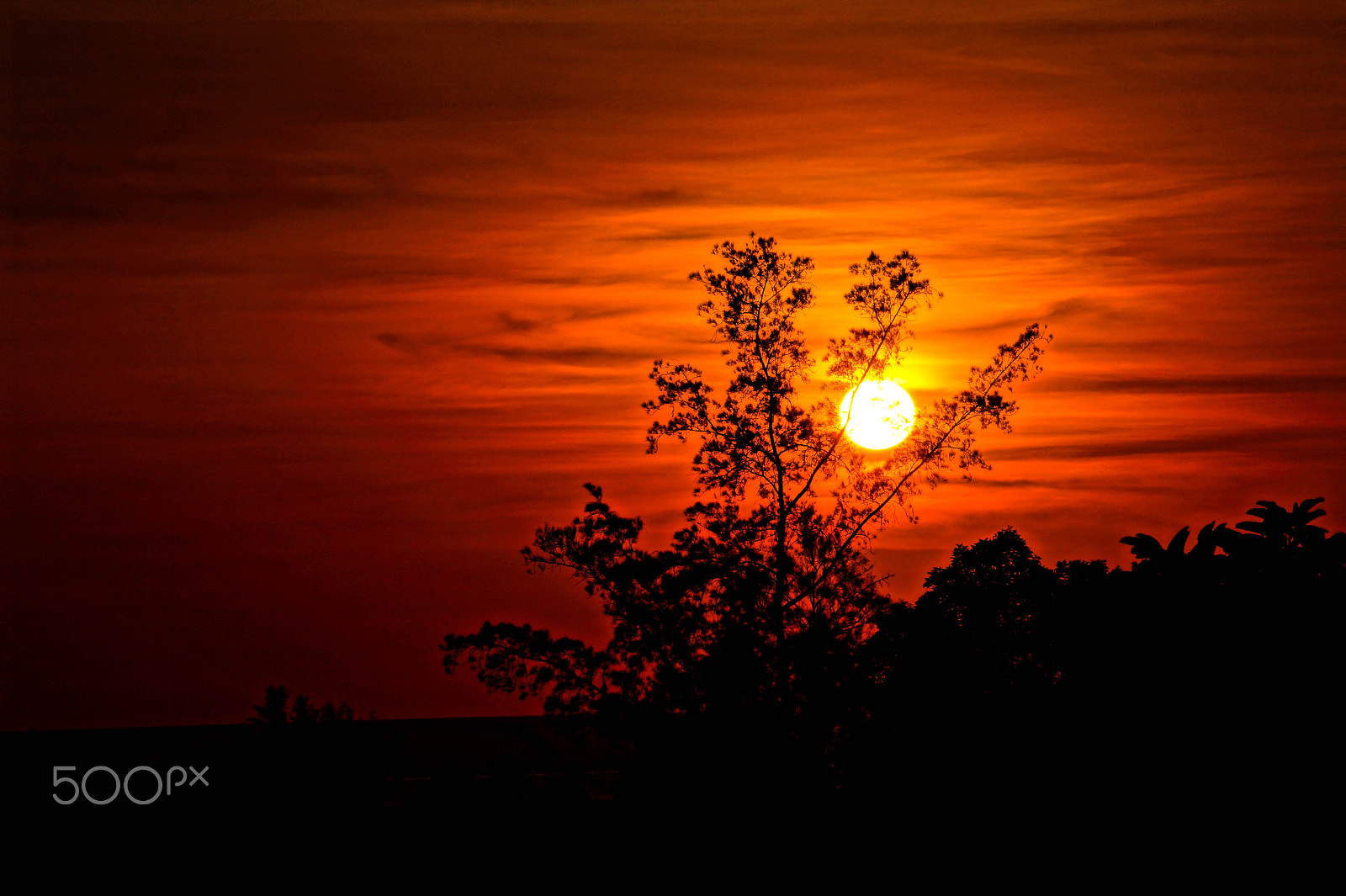 Sony Alpha a3500 sample photo. Sunset at lok kawi, kota kinabalu photography