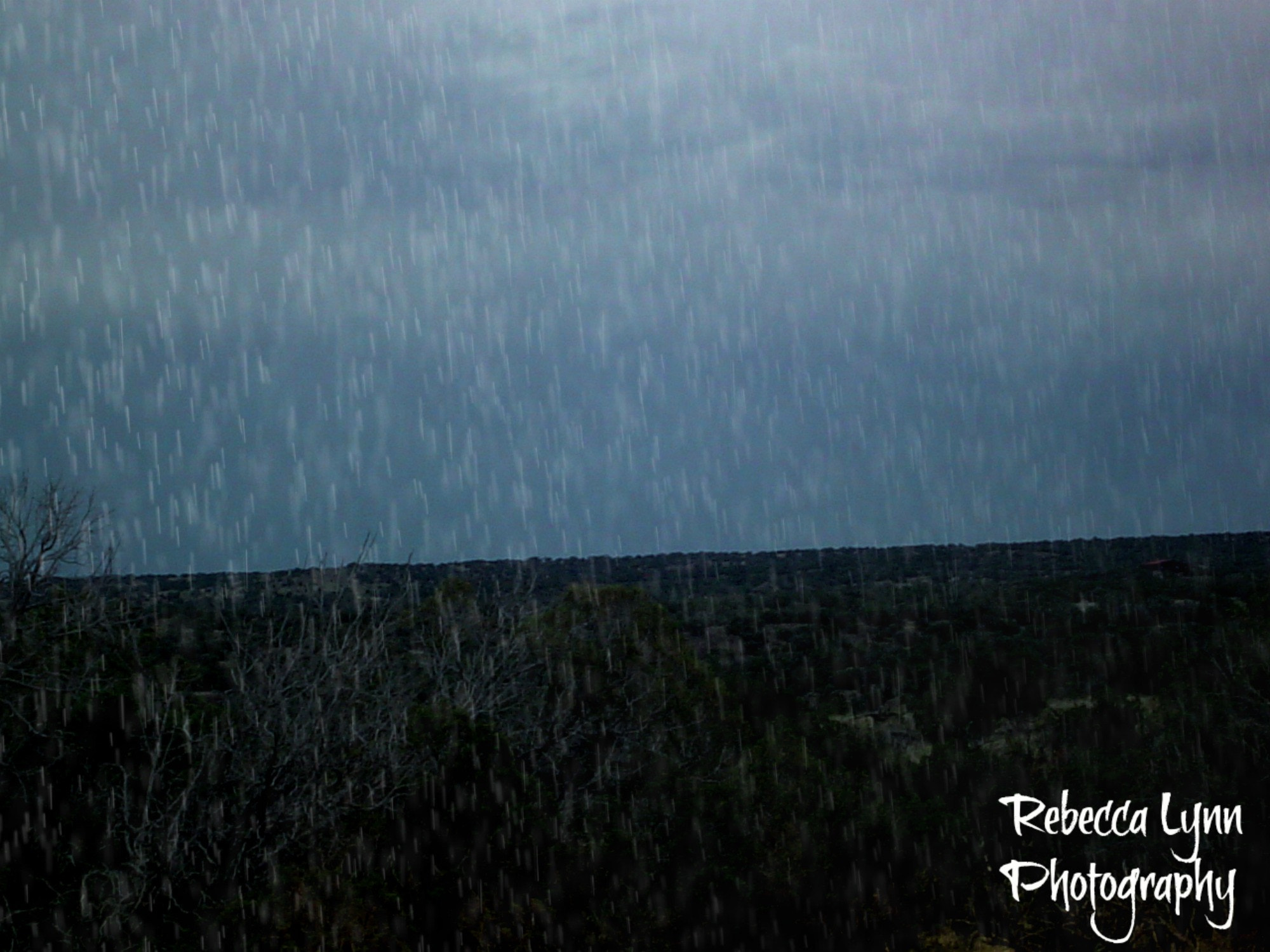 Sony DSC-P72 sample photo. Just a light rain today photography