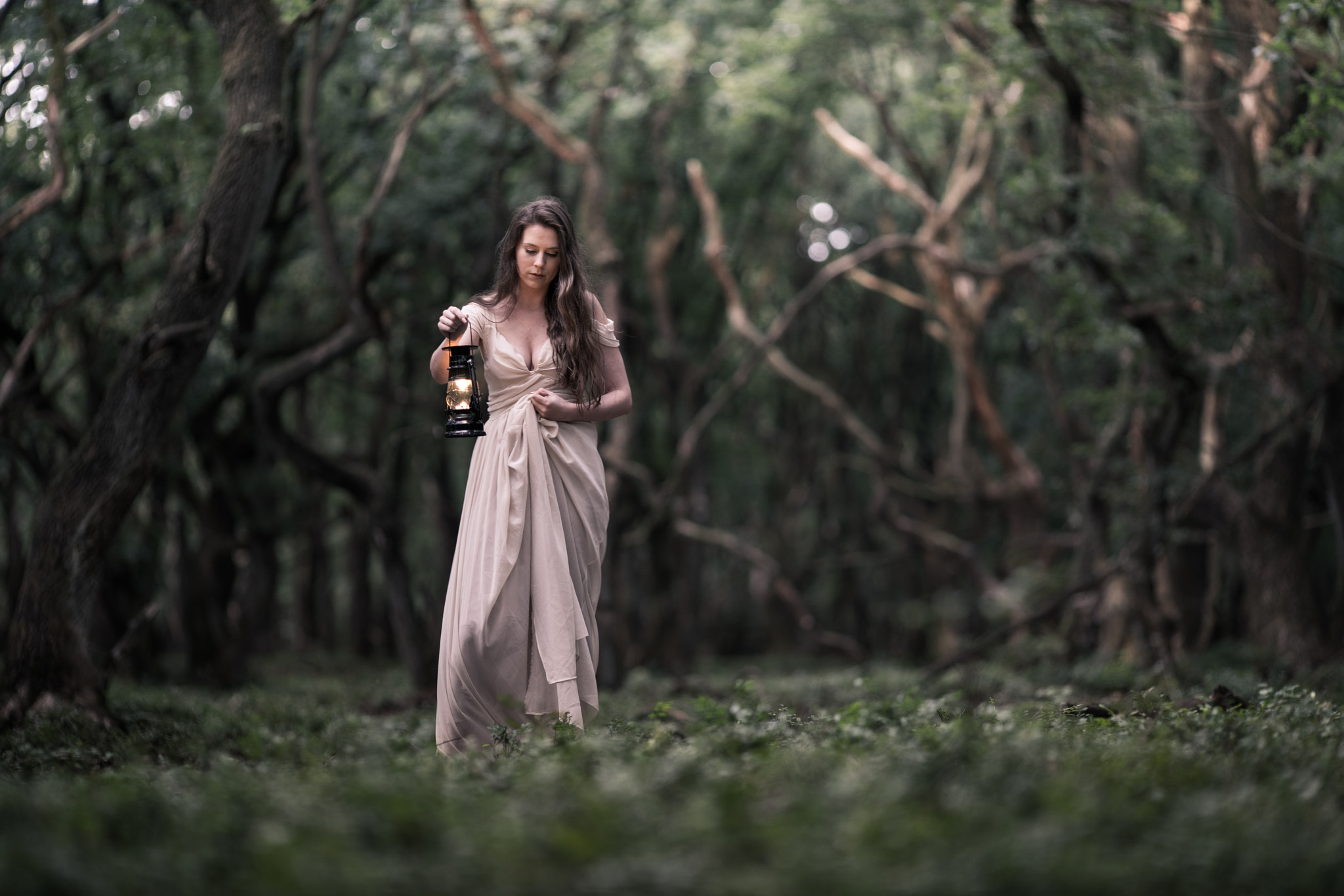 Sony a7R II + Sony DT 50mm F1.8 SAM sample photo. Alone in the woods photography