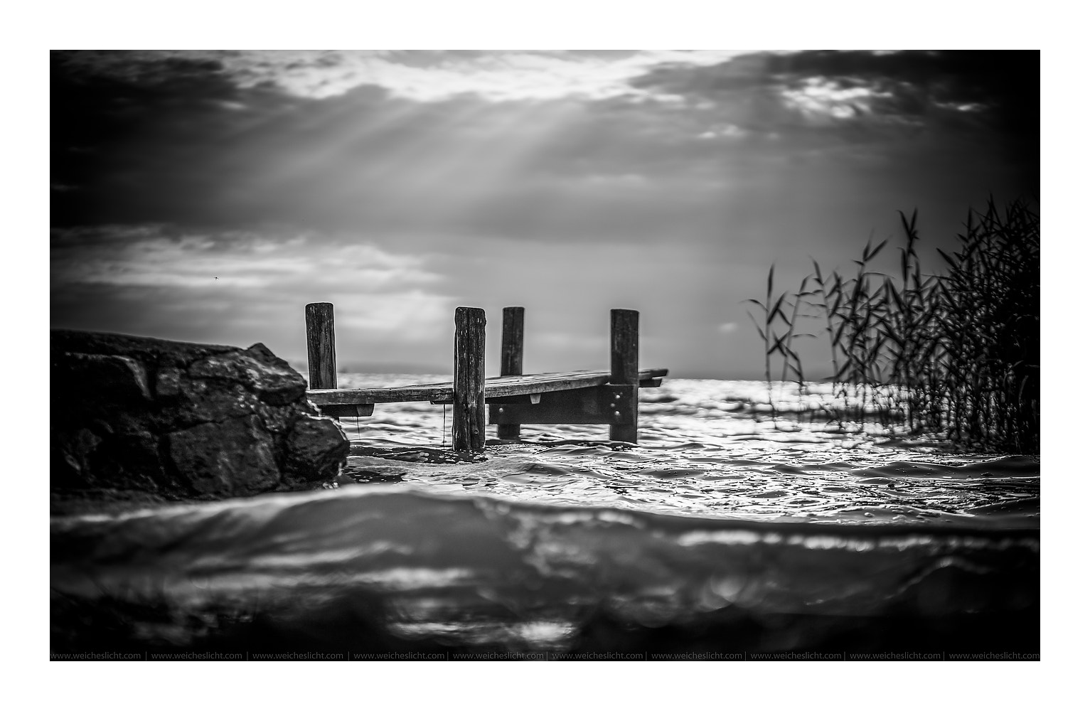 Canon EF 85mm F1.8 USM sample photo. Silence photography