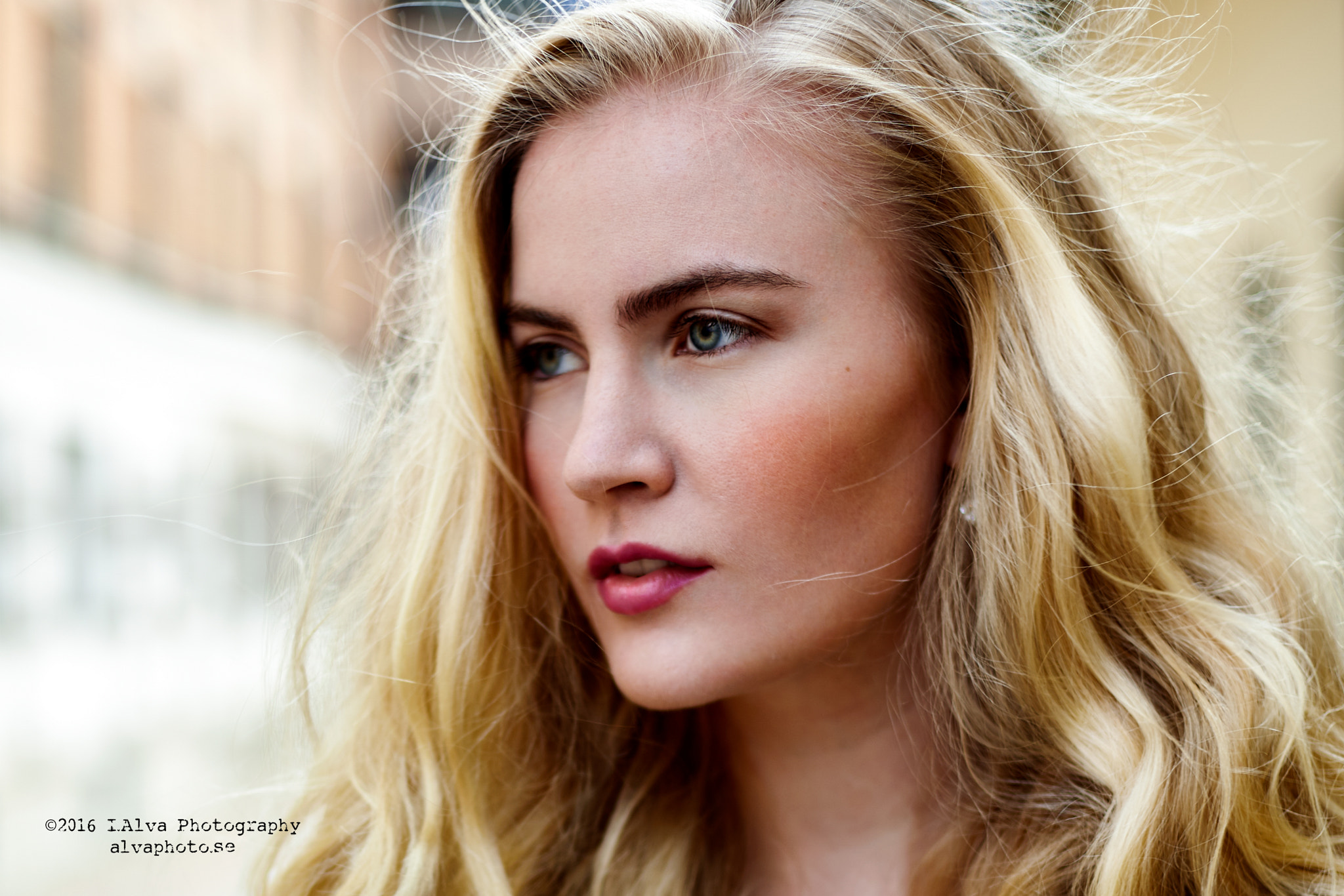 Canon EF 50mm F1.4 USM sample photo. Alma photography