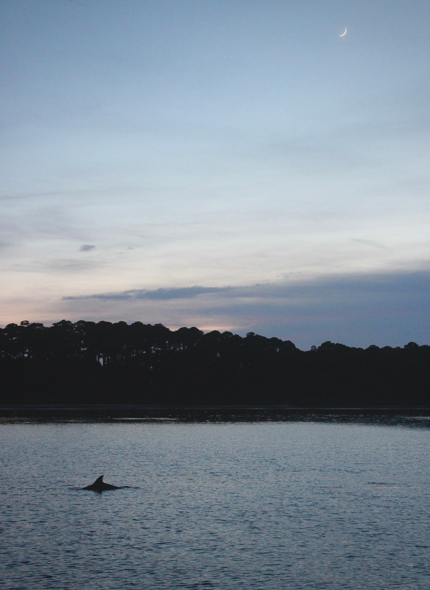 Canon EF-S 18-55mm F3.5-5.6 IS sample photo. Evening swim photography