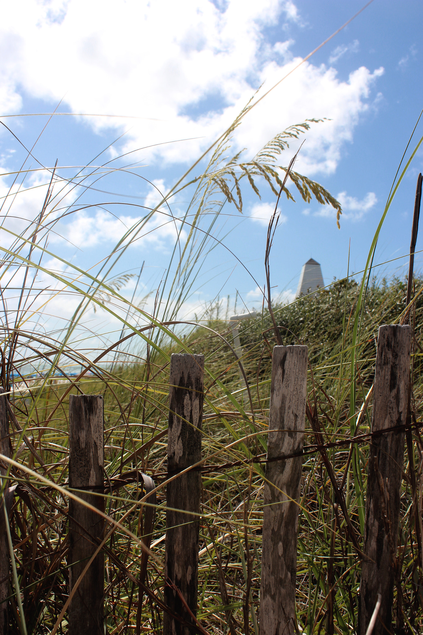 Canon EF-S 18-55mm F3.5-5.6 IS sample photo. Watch tower photography