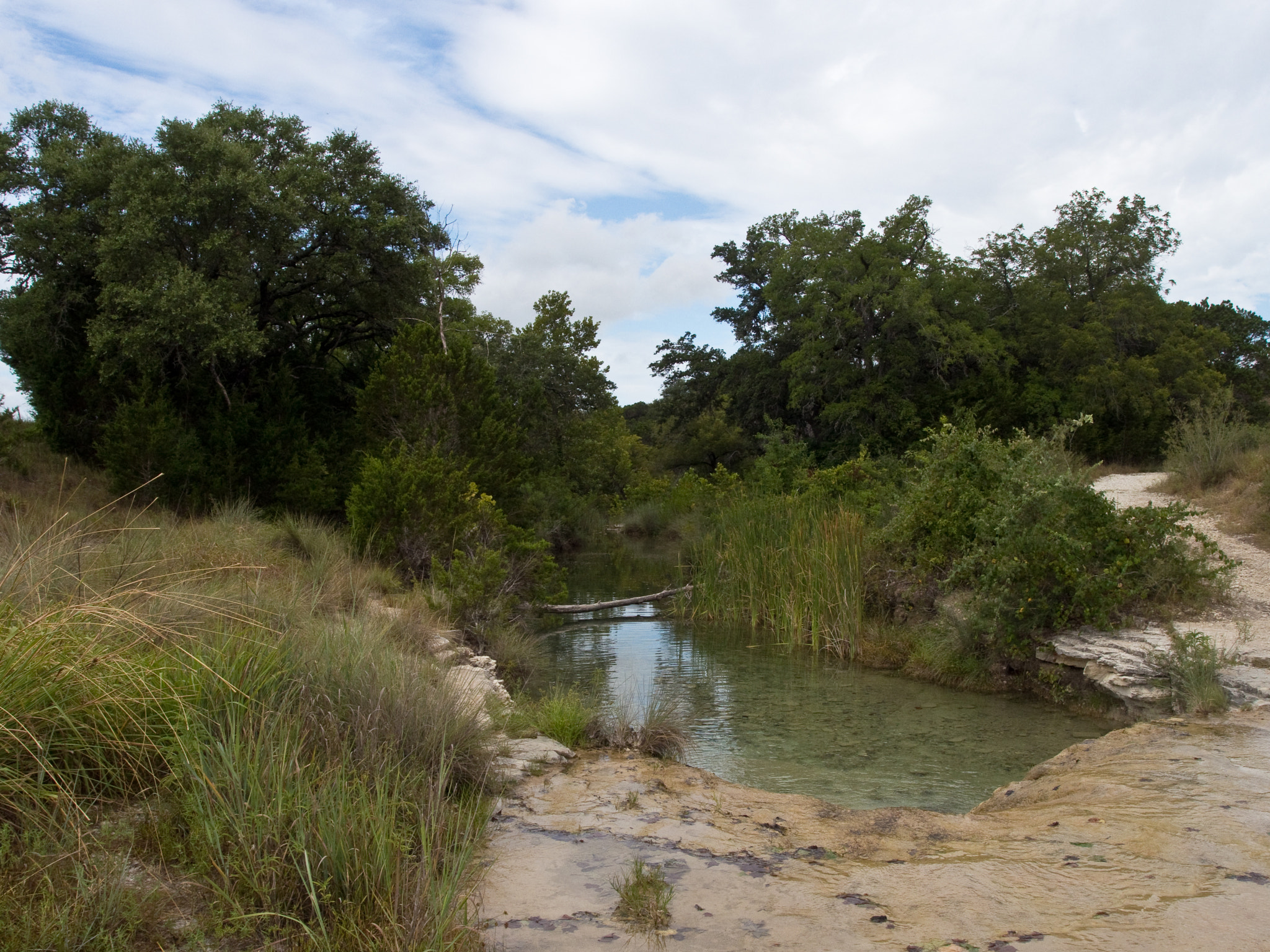 PENTAX RICOH IMAGING PENTAX MX-1 sample photo. Balcones canyonlands nwr ii photography
