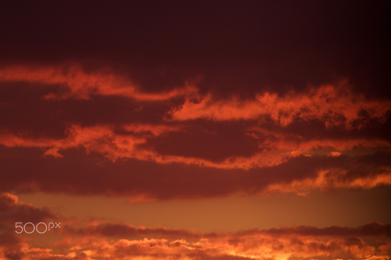 Canon EOS 60D + Canon EF 400mm F5.6L USM sample photo. Brilliant sunset photography