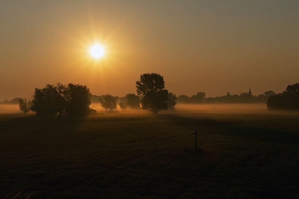 Sony Alpha DSLR-A550 sample photo. Sommer dämmerung in gyirmot photography