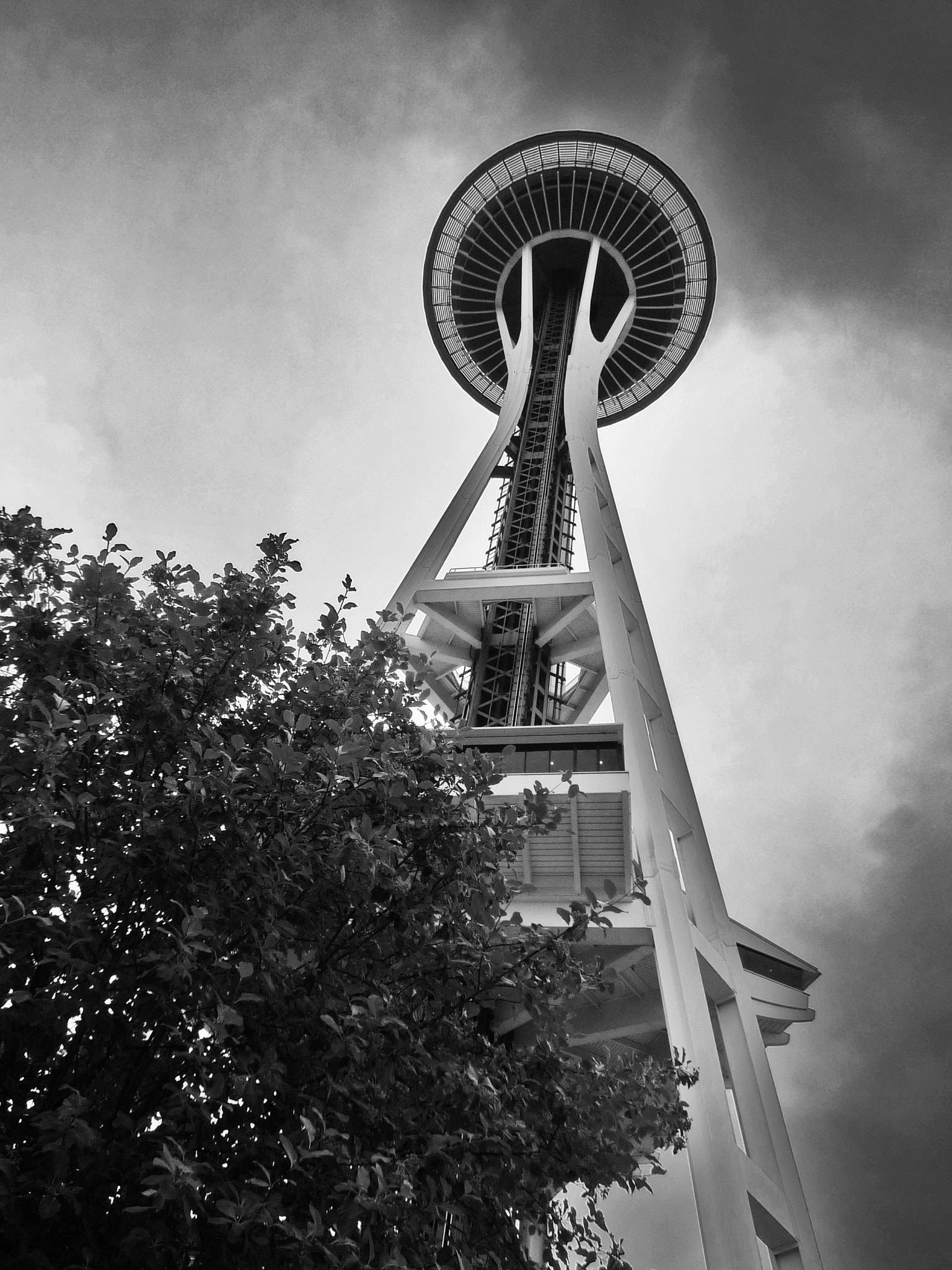 Panasonic DMC-FX500 sample photo. Space needle photography